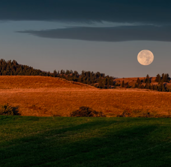 Harvest Moon Writing Day