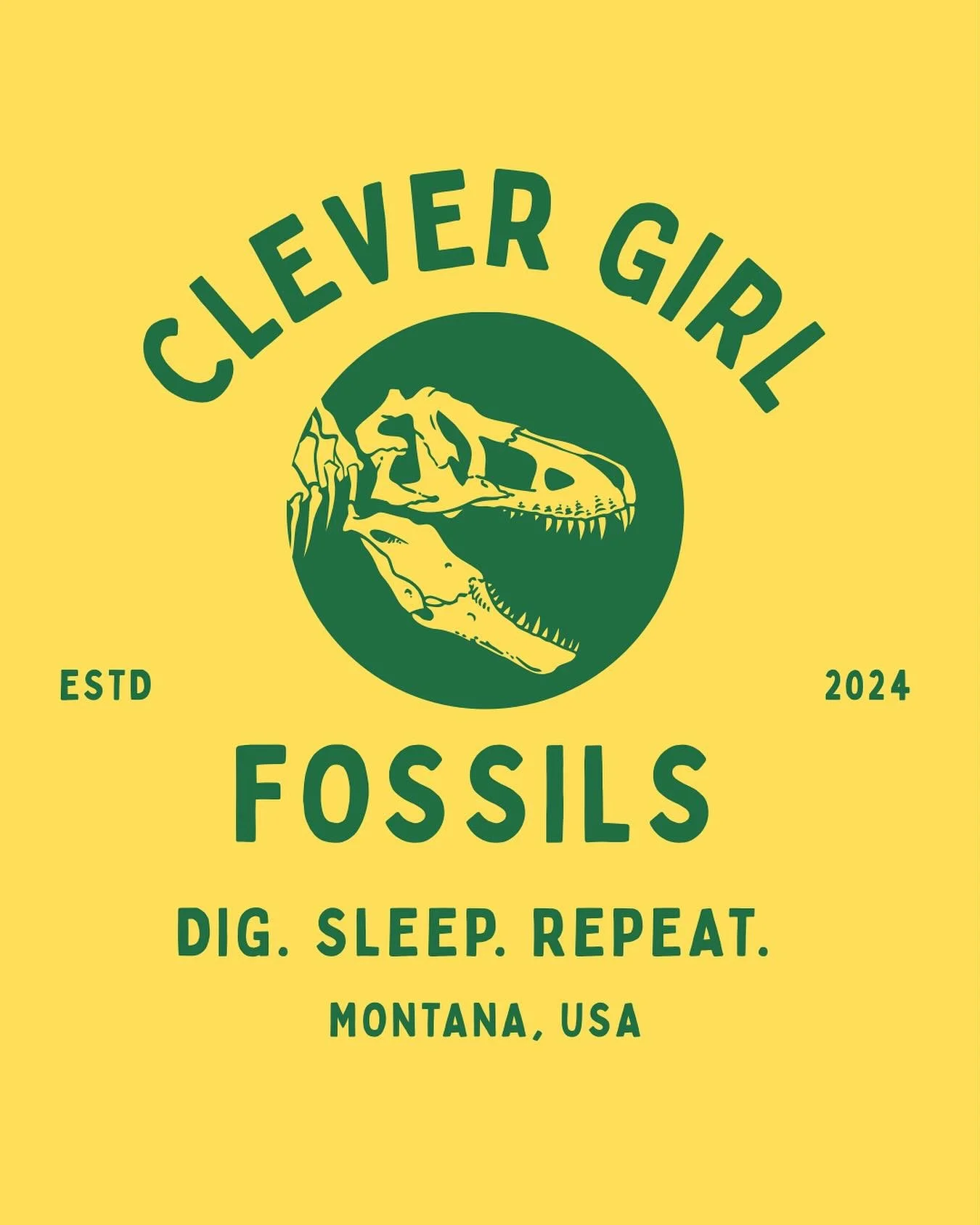 Feels like a fever dream but&hellip;people are reading the book and asking me about merch?!?!? I had not really let myself imagine the possibility but what if there was a Clever Girl shirt we could all roll up at the sleeve for maximum vibes 💗
