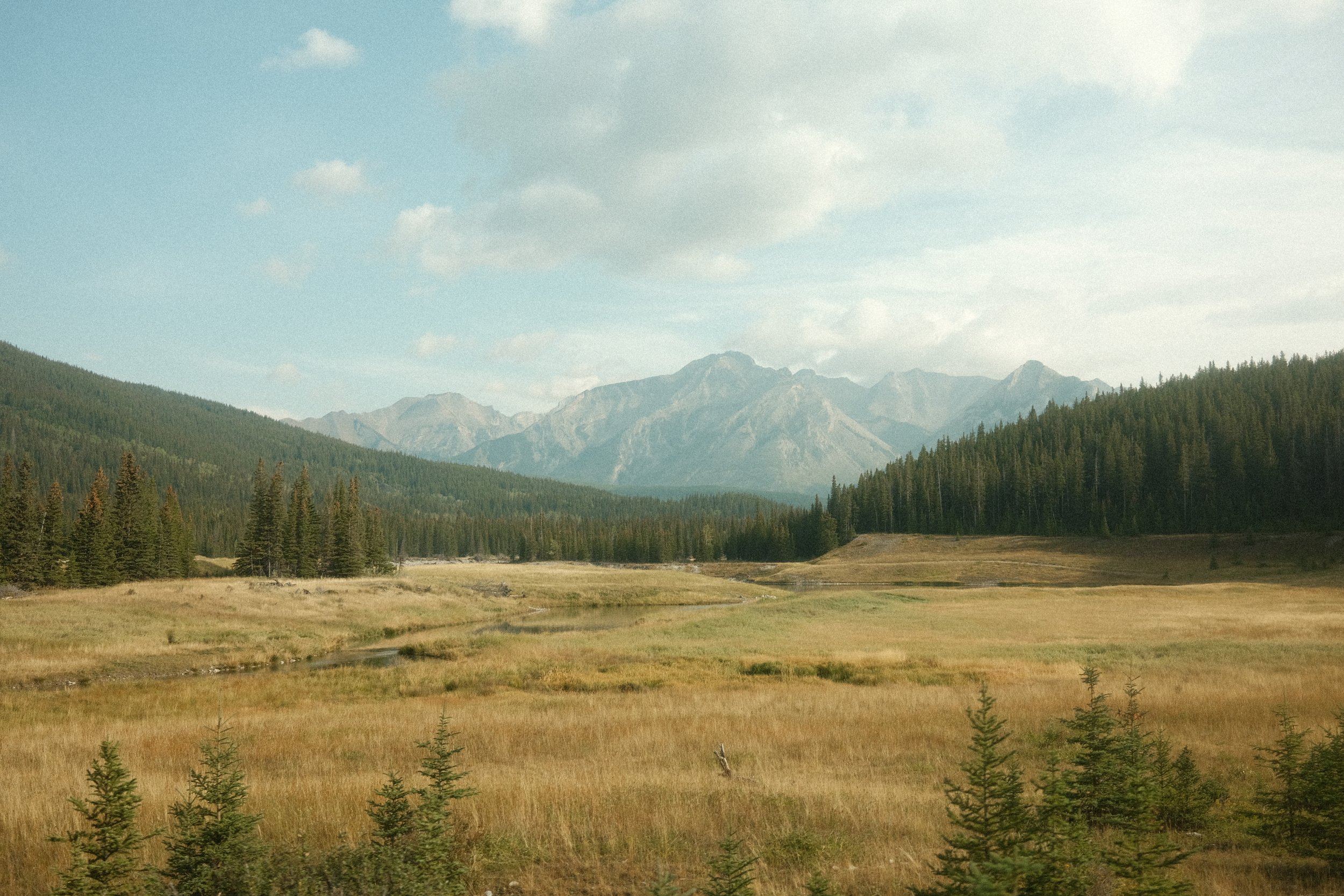 An image of the canadian mountains during summer.