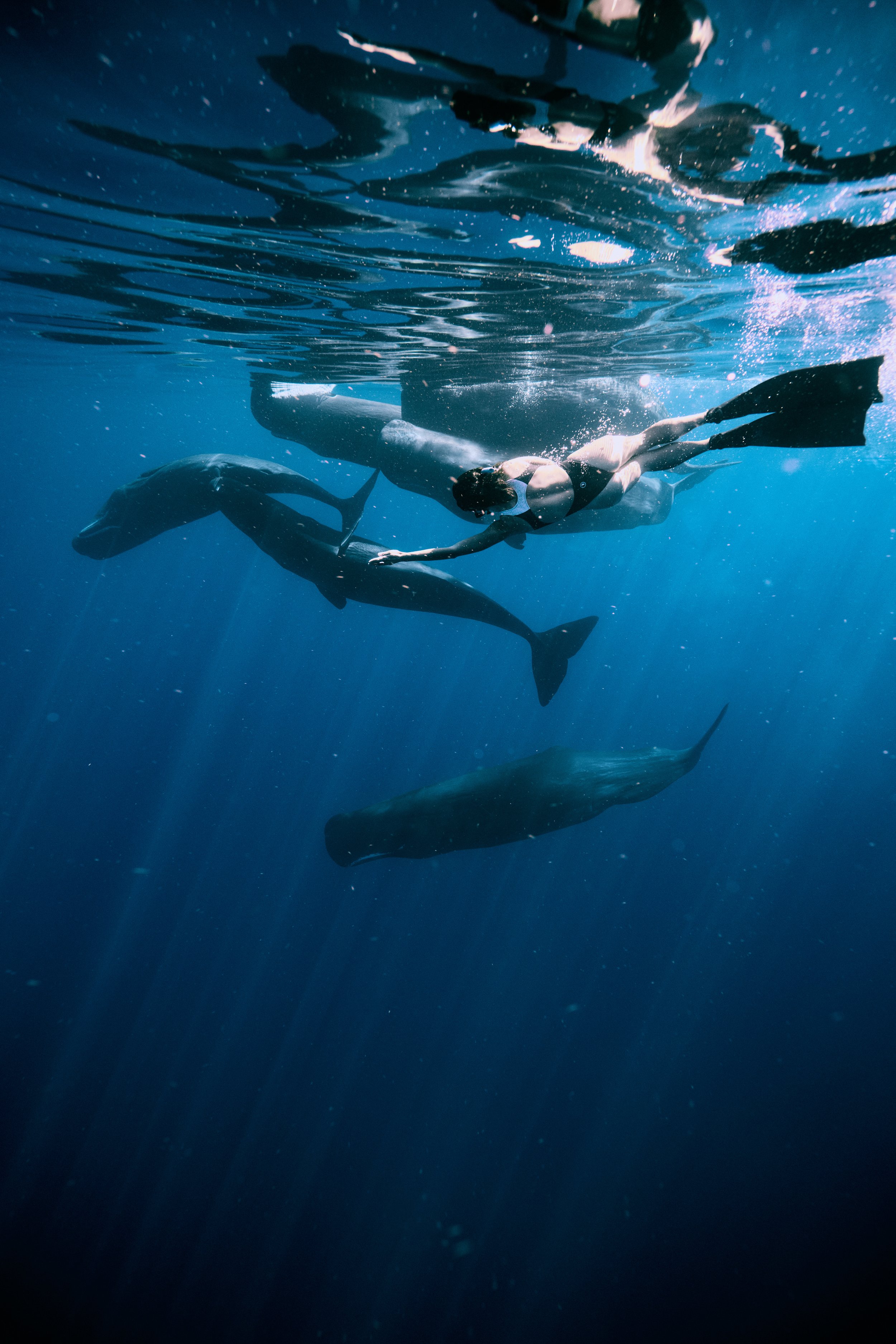 20260107-10h38 1.jpg