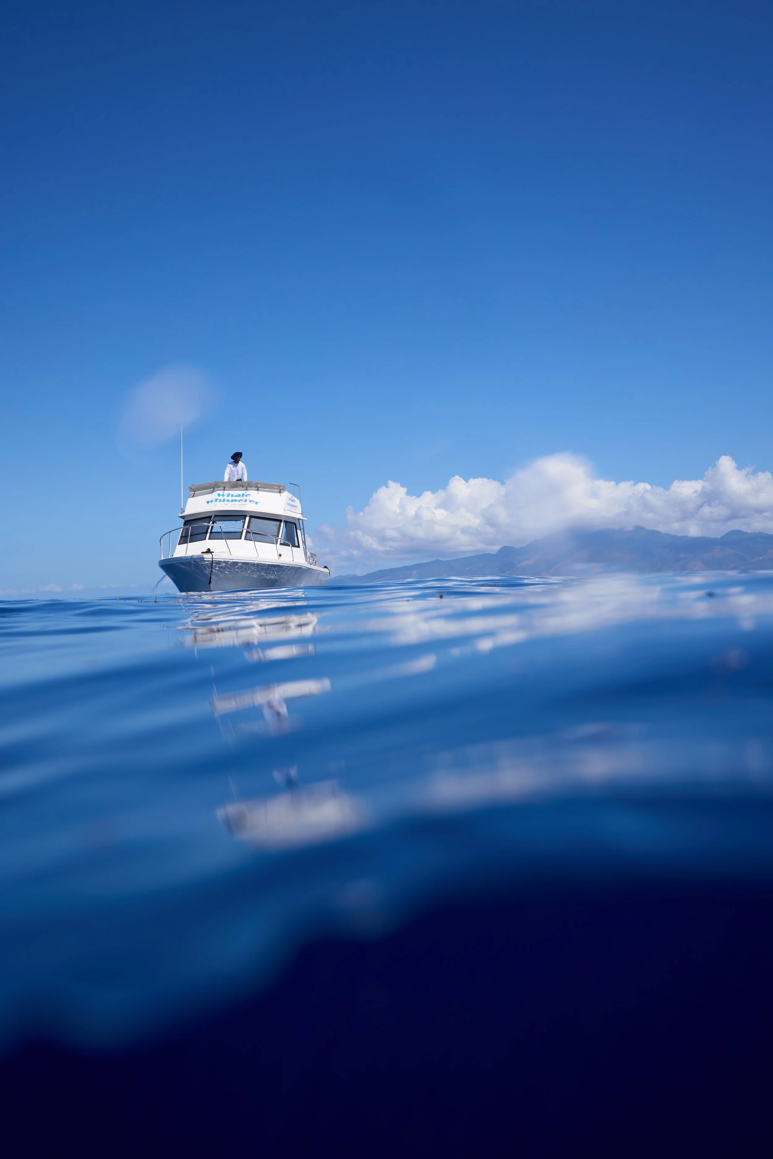A boat floating on calm blue water with a clear sky and distant mountains in the background.