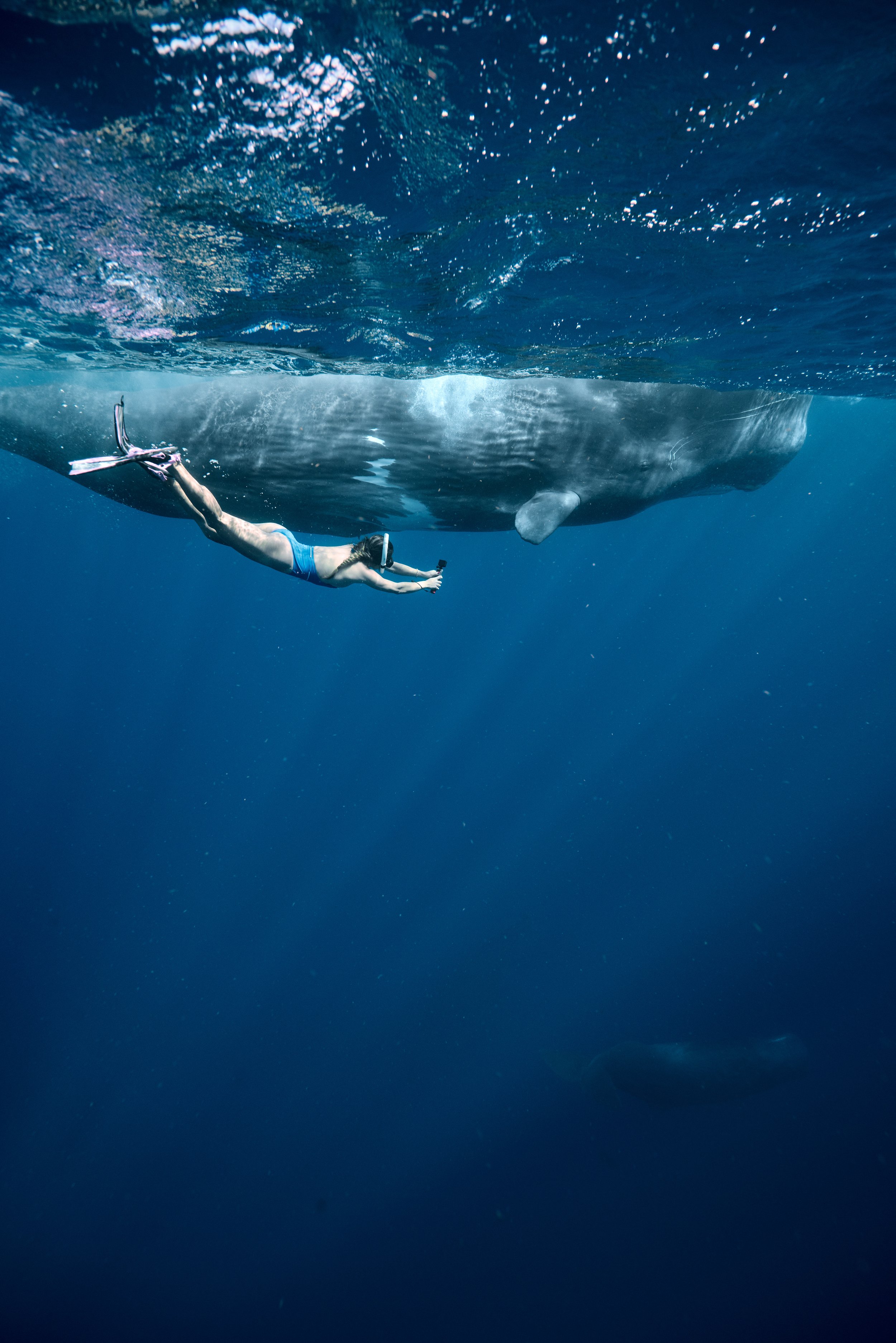 20251230-12h01 2.jpg