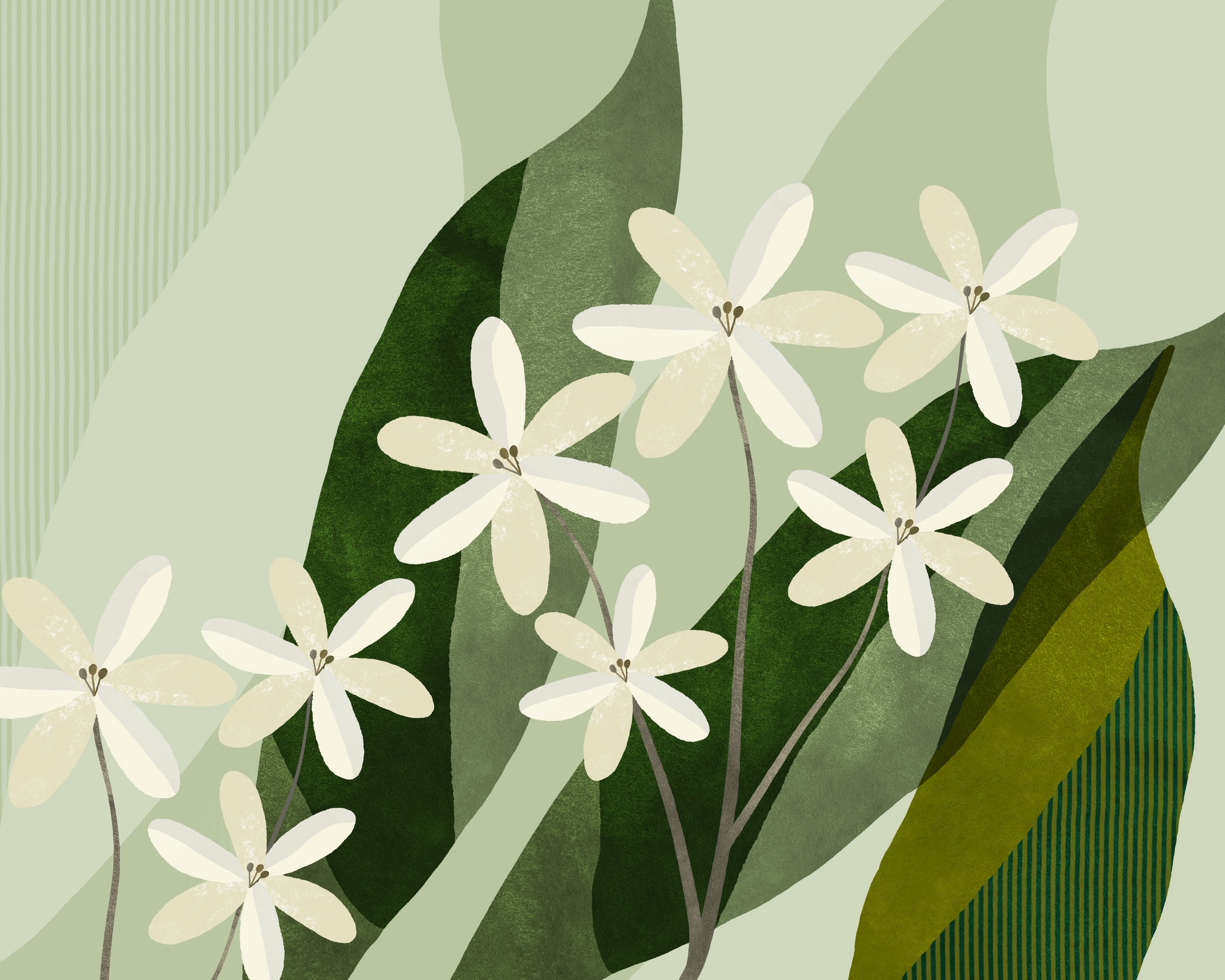 Stylized illustration of white flowers with beige petals and dark stamens, surrounded by various green leaves with textured and striped patterns.