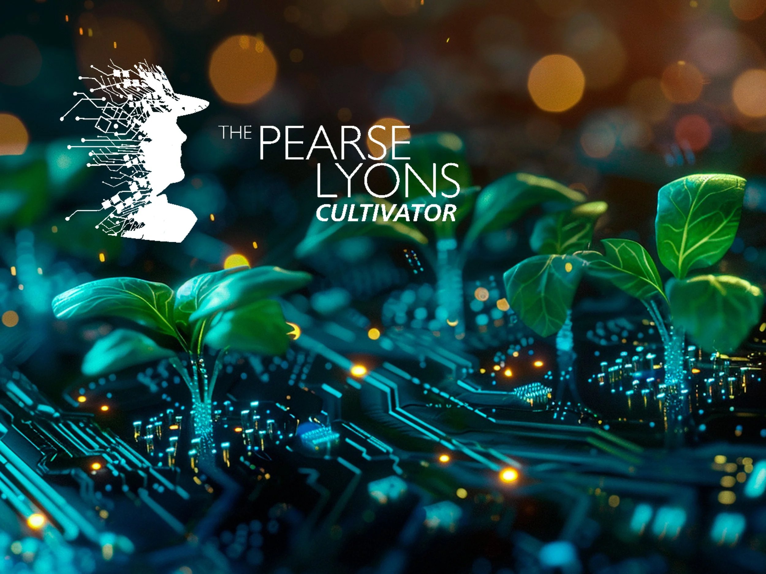 Case Study: The Pearse Lyons Accelerator