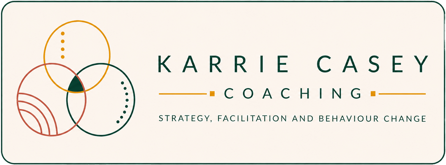 Karrie Casey - Health communications leader                