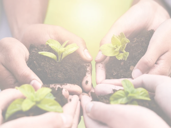 Multiple hands holding small plants in soil, symbolizing planting or growth.