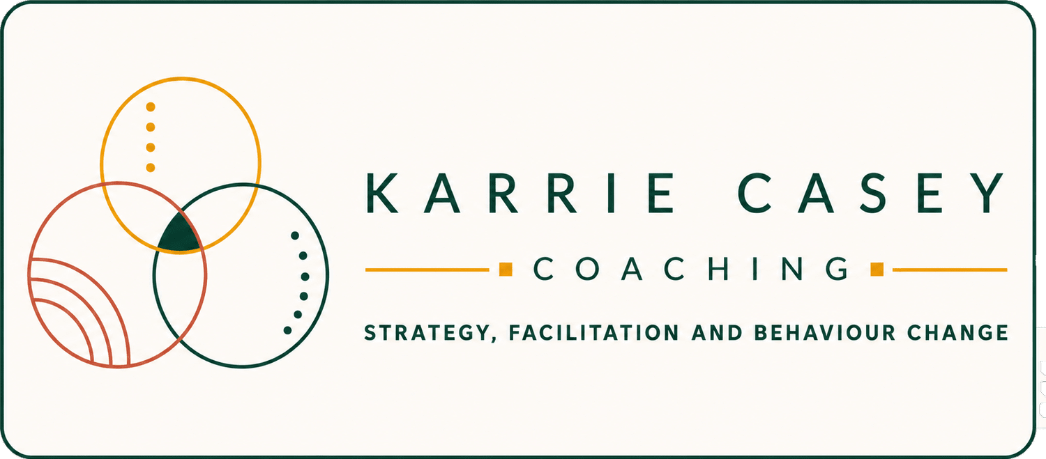 Karrie Casey - Health communications leader                