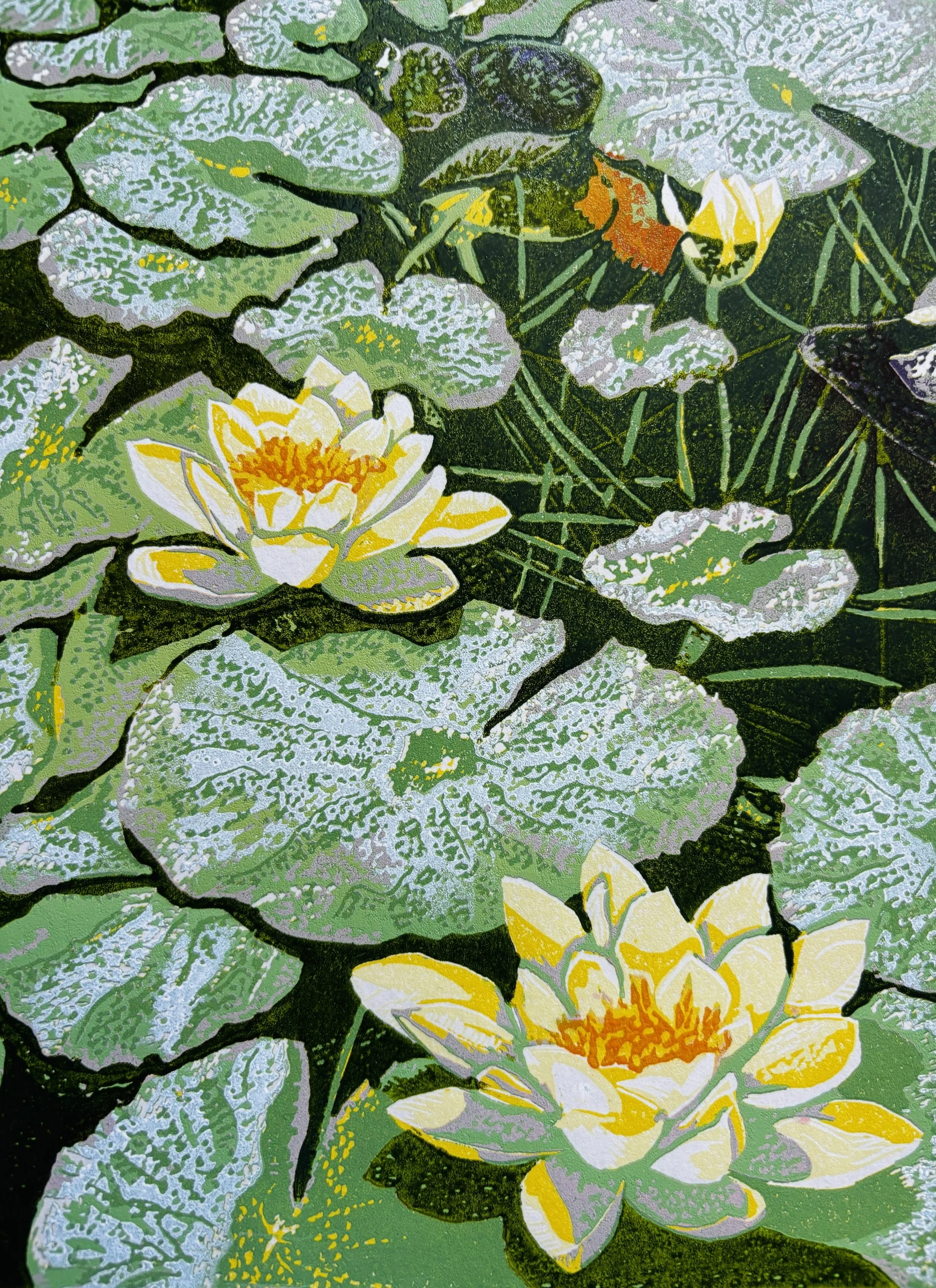 Sun Basking Waterlilies - Just finished - Edition of 20. Reduction linoprint with varied colours within the edition. 9 hand-printed layers. Inspired by a large group of glistening water lilies sunbathing in glorious sunshine in a large pond on a beau