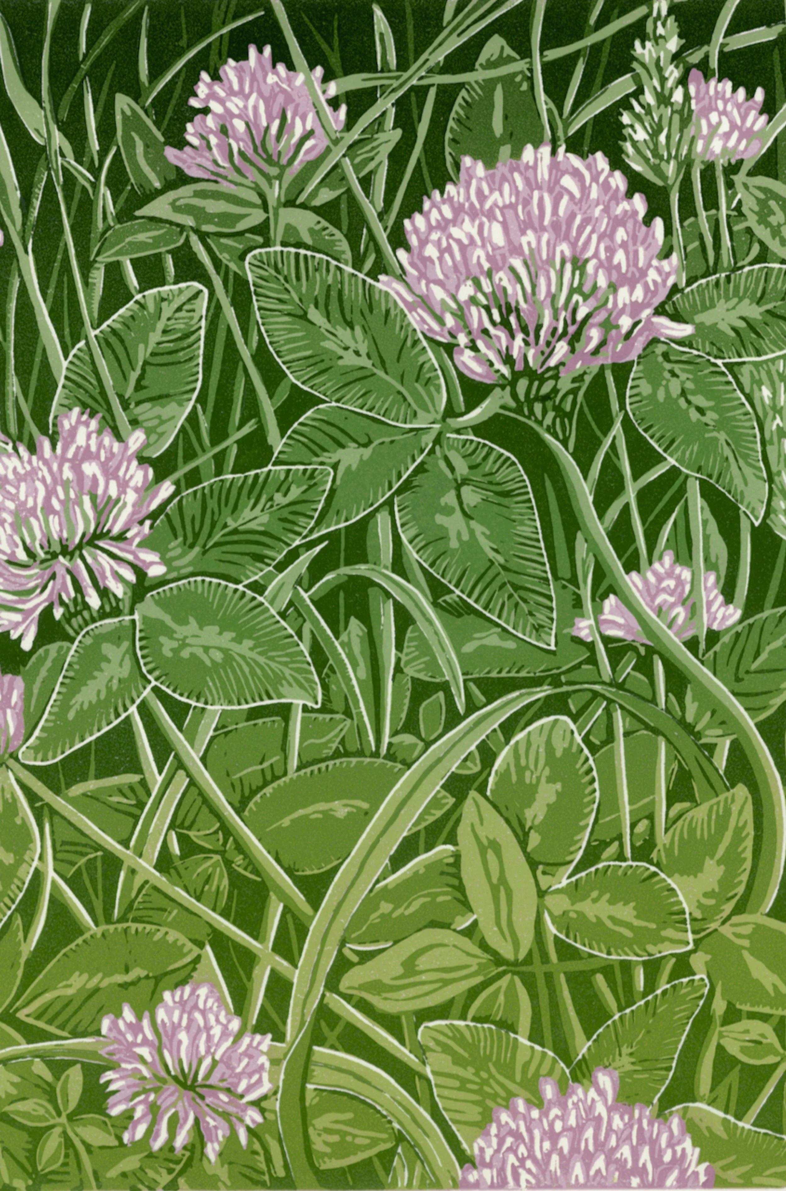 Clover crop.jpg