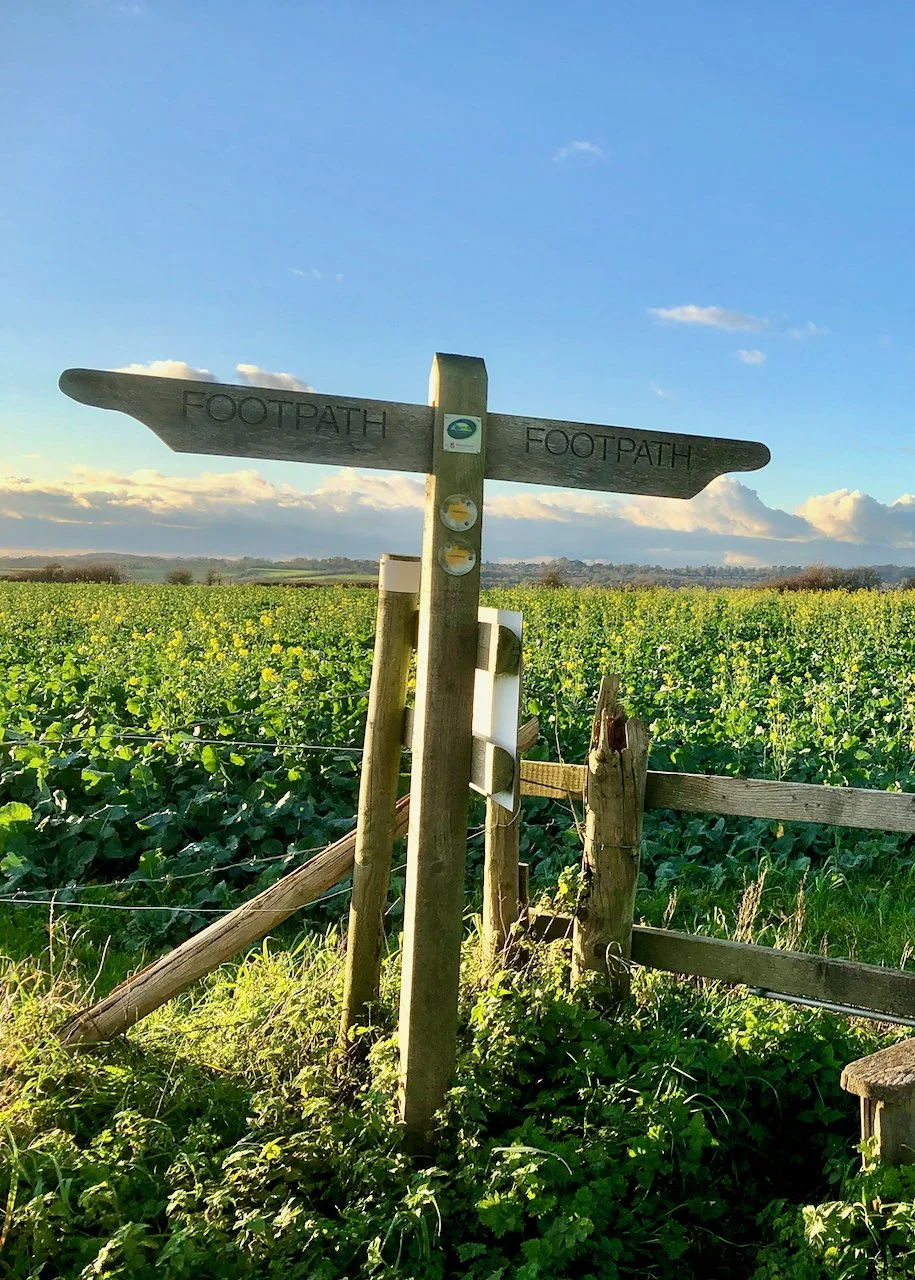 south downs signpost.jpeg