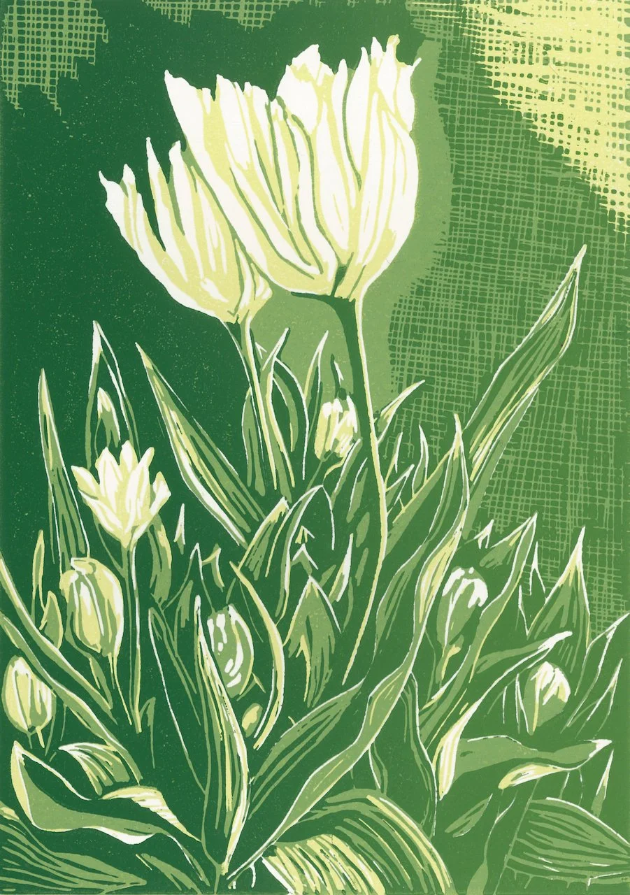 Ashley Meadows’ Tulips - Edition of 20. Reduction linoprint with varied colours within the edition. 4 hand-printed layers. Created from a still life drawing of this group in a close relative’s garden in Romsey. 
Print size 14.8cm x 21cm Mounted 28cm 