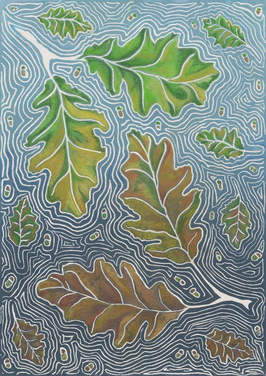 South Downs Oak Leaves - Changing Seasons / Fresh / Vibrant
3 different prints each with an edition of 12. The image shown here is Changing Seasons.
All are handfinished linoprints with varied colours within the edition. Original drawing taken from o