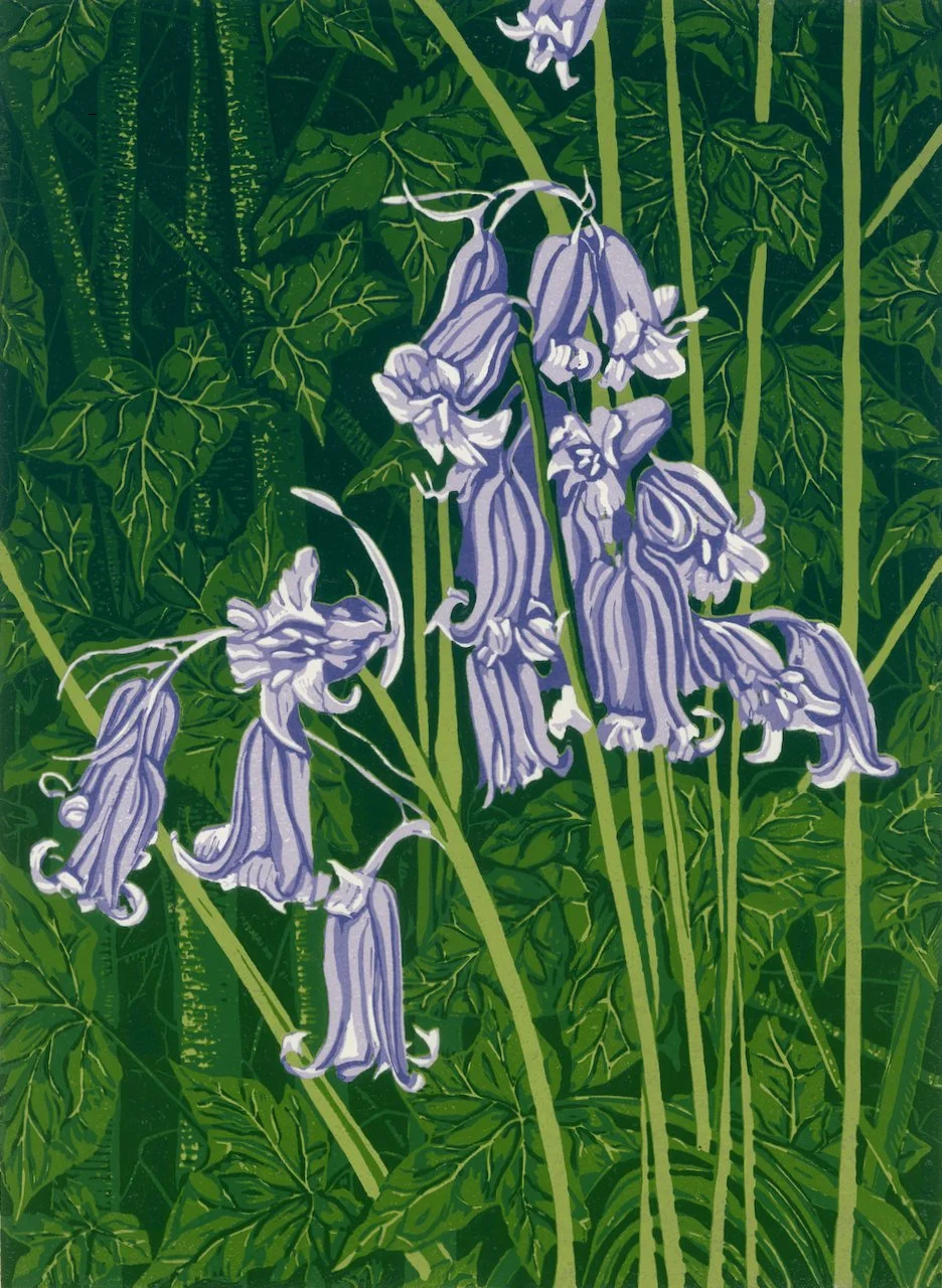 Owslebury Bluebells and Ivy - Edition of 20. Reduction linoprint with varied colours within the edition. 7 hand-printed layers. 
Inspired by a bluebell wood group seen during an April walk through woodland. 
Print size 21cm x 30cm Mounted 38cm x 48cm