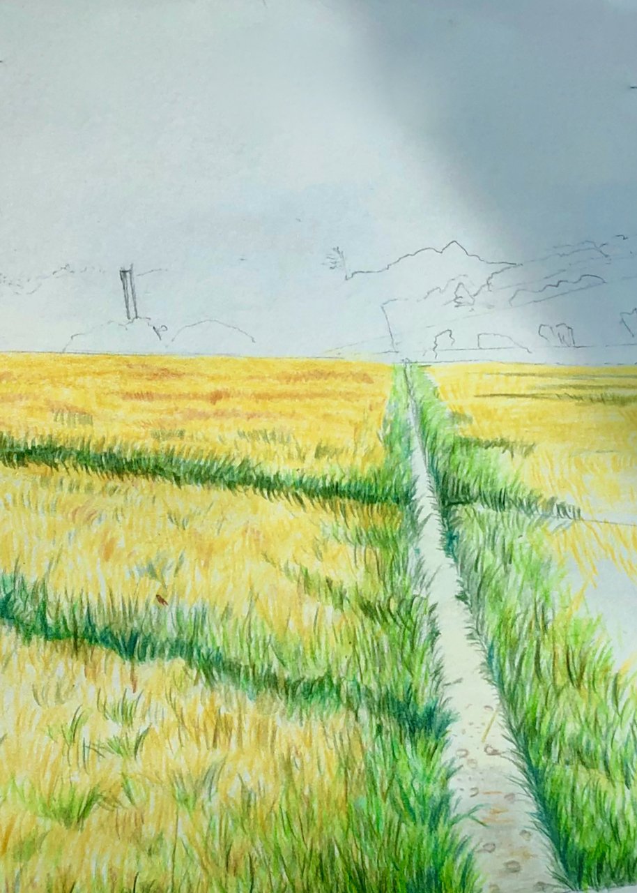 Path colour sketch.jpeg
