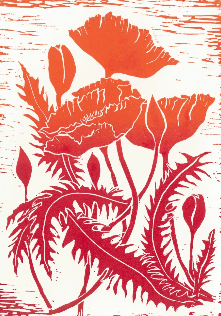 Twyford Poppies - Edition of 24. Linoprint with varied colours within the edition. Single hand-printed image. 
Still life drawing of this popular, vibrant coloured flower developed into this striking image. Print size 14.8cm x 21cm Mounted 28cm x 35.