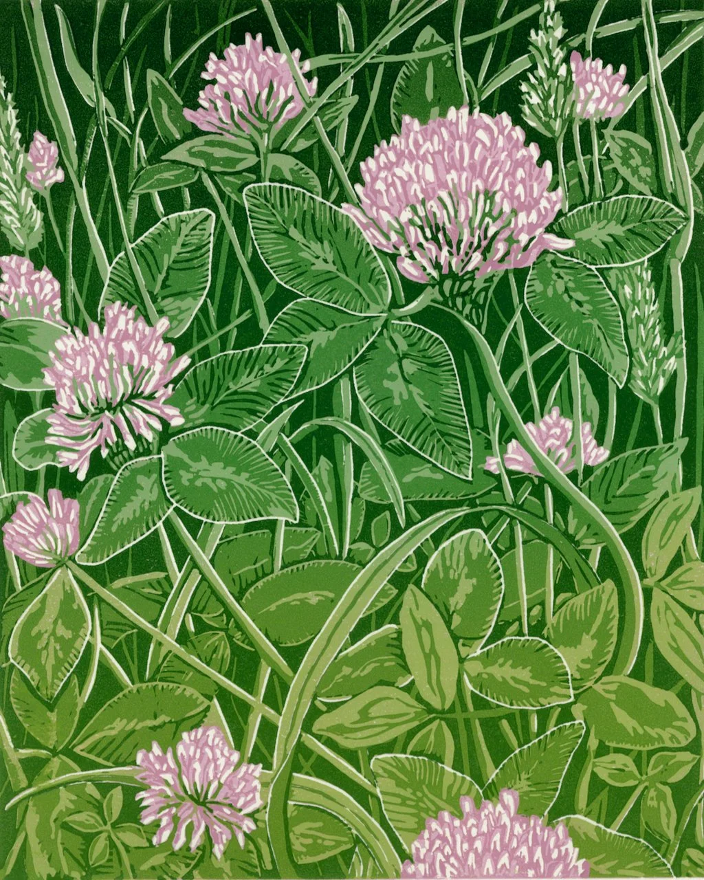 Hockley Link Clover - Edition of 20. Reduction linoprint with varied colours within the edition. 6 hand-printed layers. Drawn from a luxuriant carpet of clover seen just by junction 11 of the M3. 
Print size 21cm x 26cm Mounted 37cm x 43.5cm