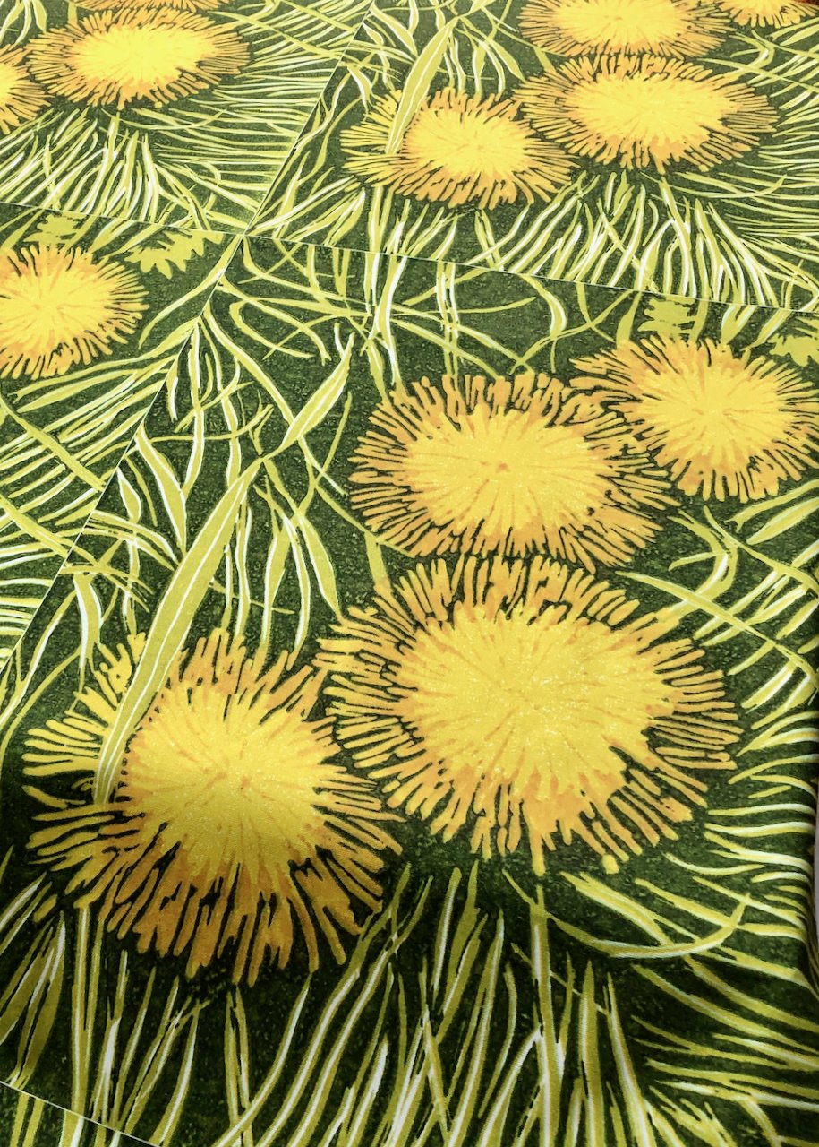 Dandelions.jpeg
