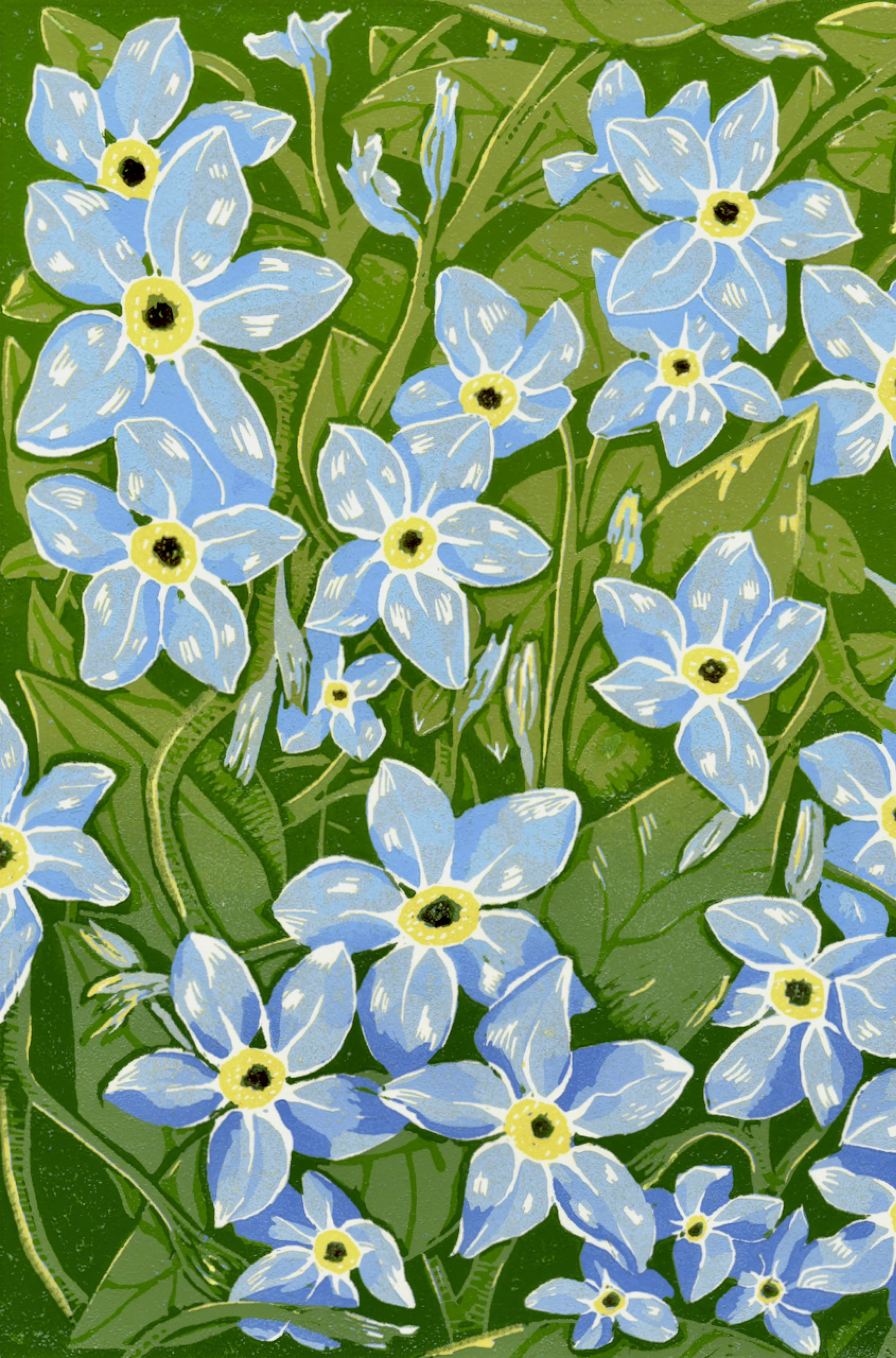 About Page Forget me not crop.jpg