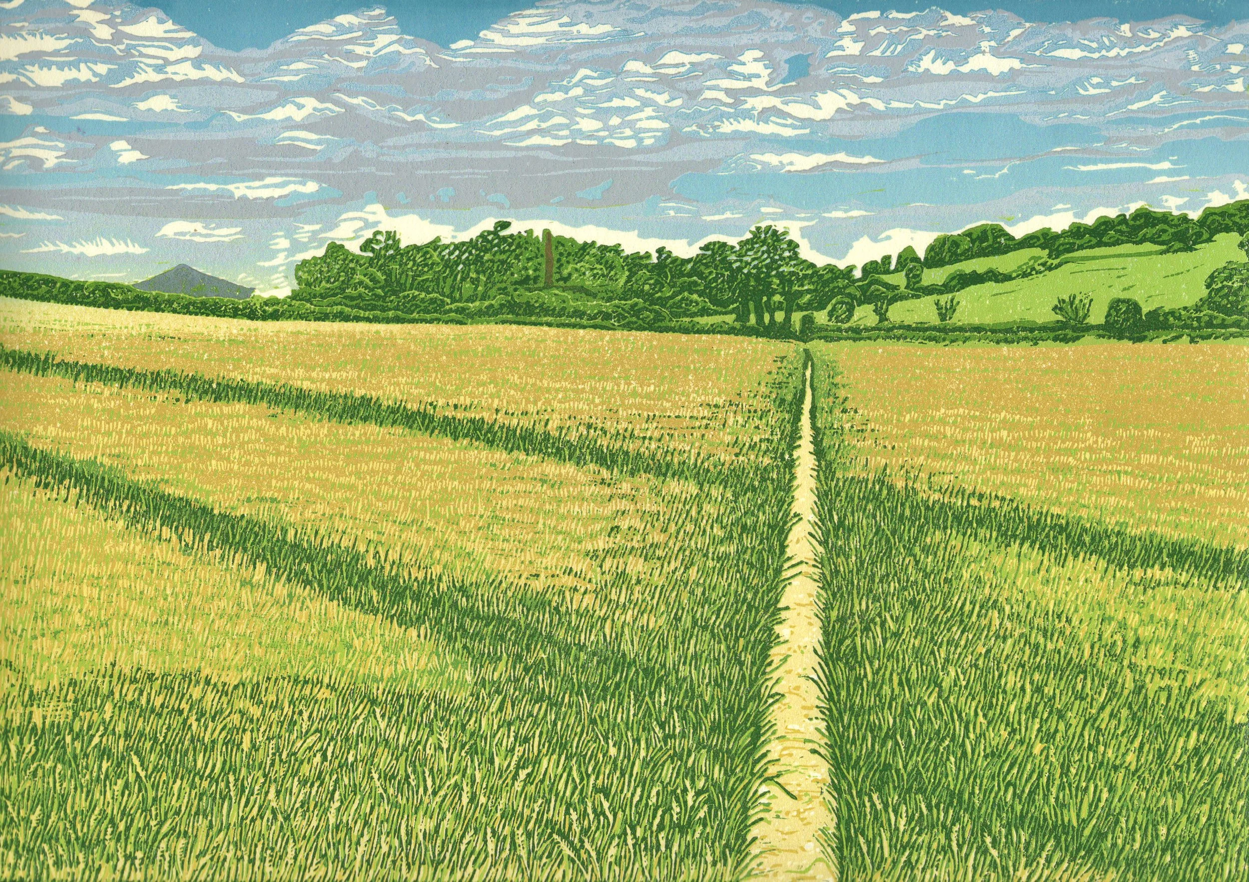 Twyford South Downs Path - Edition of 20. Reduction linoprint with varied colours within the edition. 6 hand-printed layers. 
A view during one of my favourite walks in this beautiful area of the South Downs National Park 
Print size 30cm x 21cm Moun