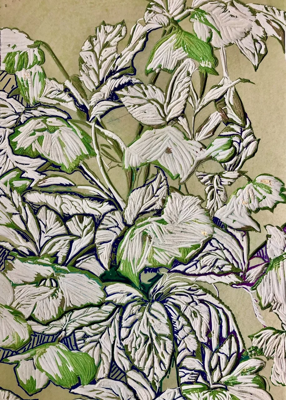 hellebores lino.jpeg