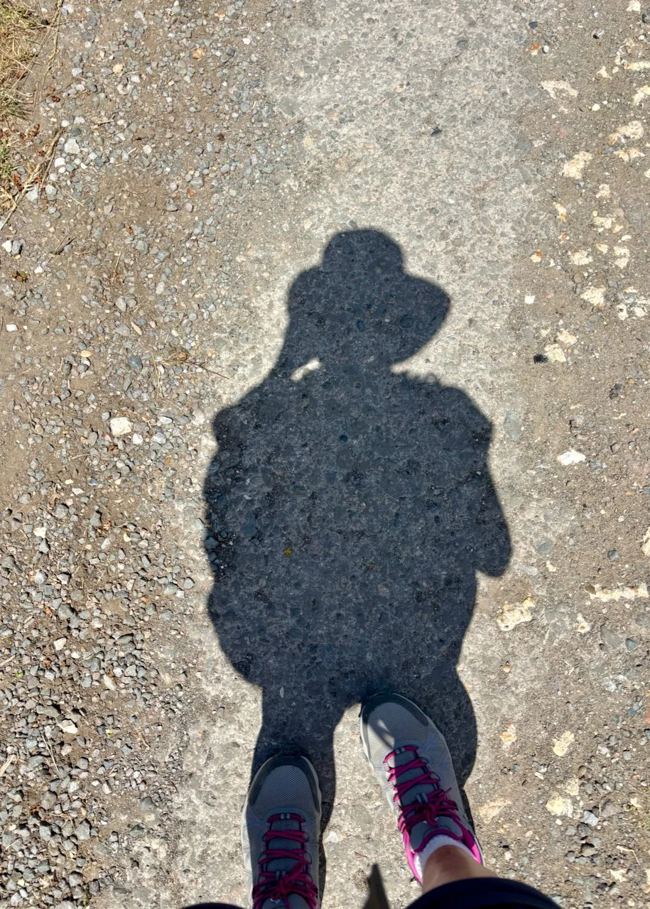 walking shadow.jpeg