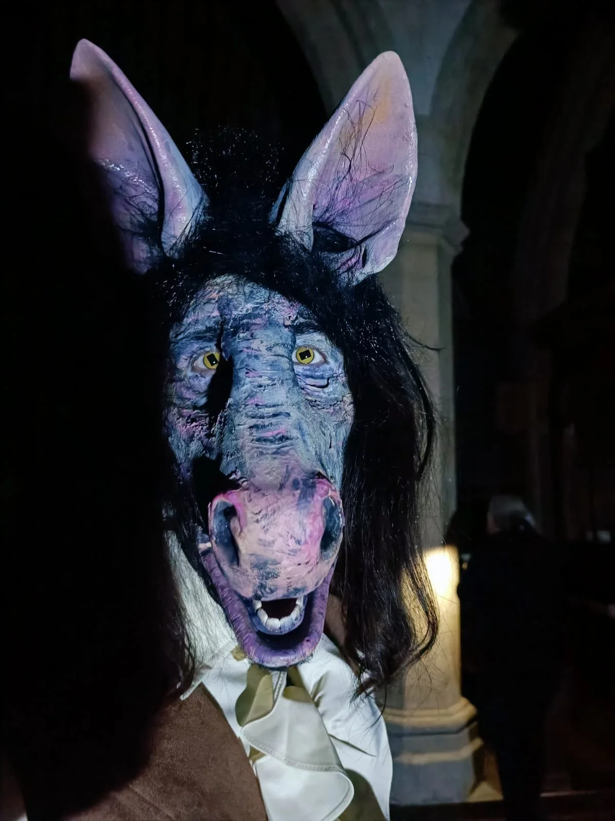 WhatsApp Image 2023-05-02 at 00.34.15.jpeg