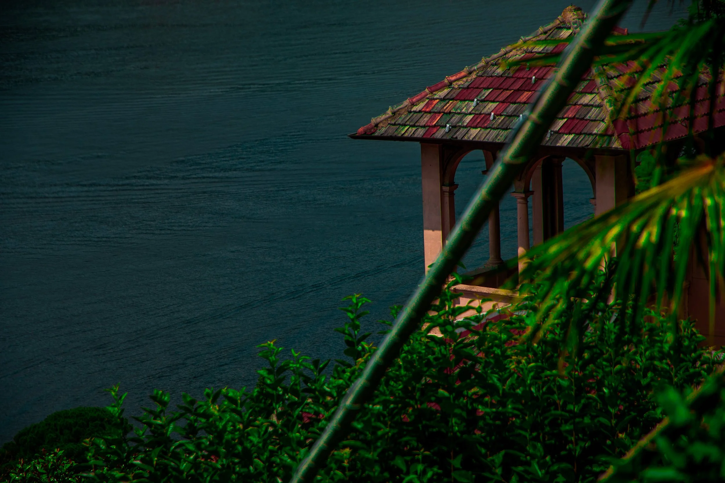 2O1A7980.jpg