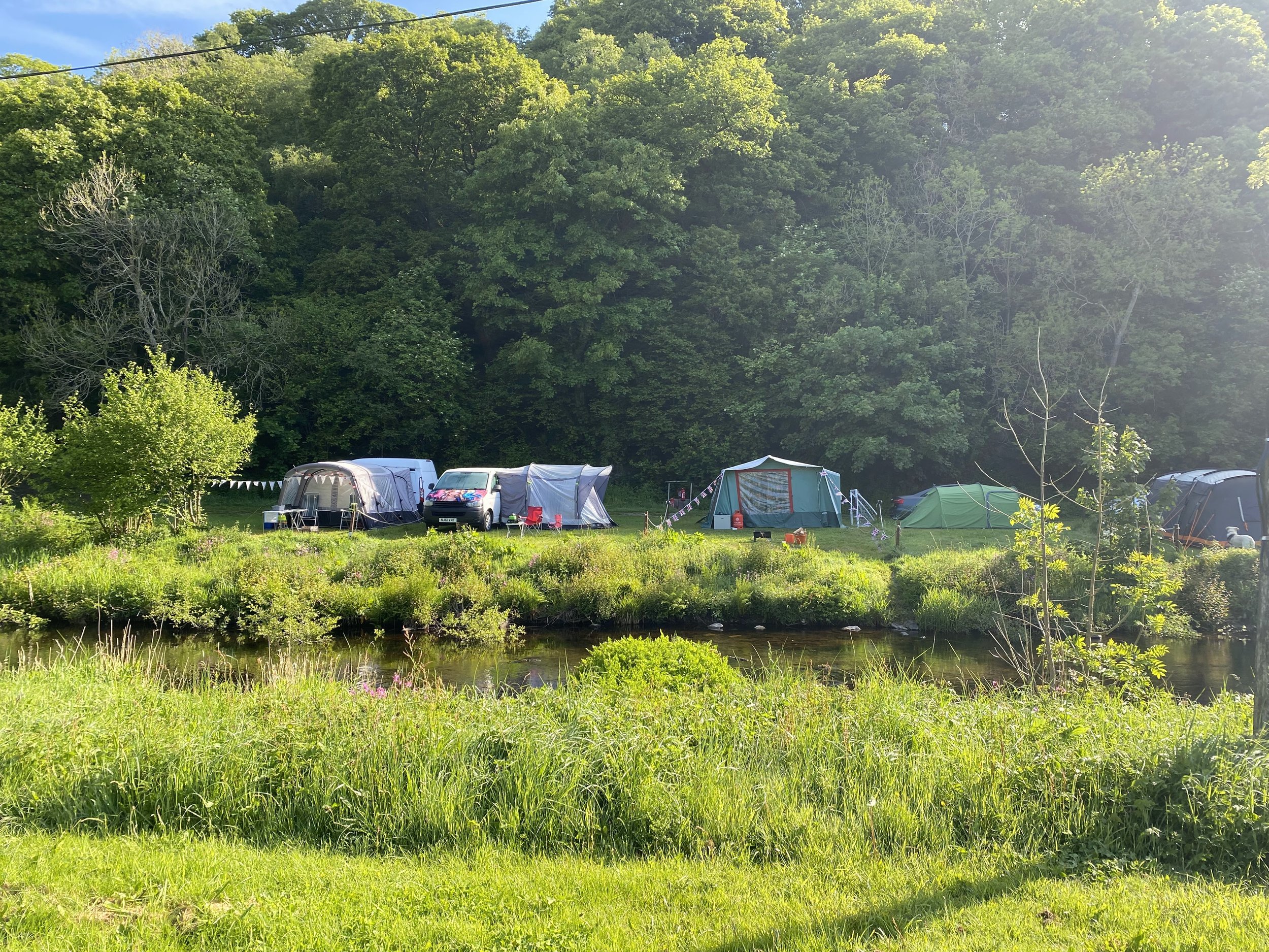 Wild camping and forest floor pitches