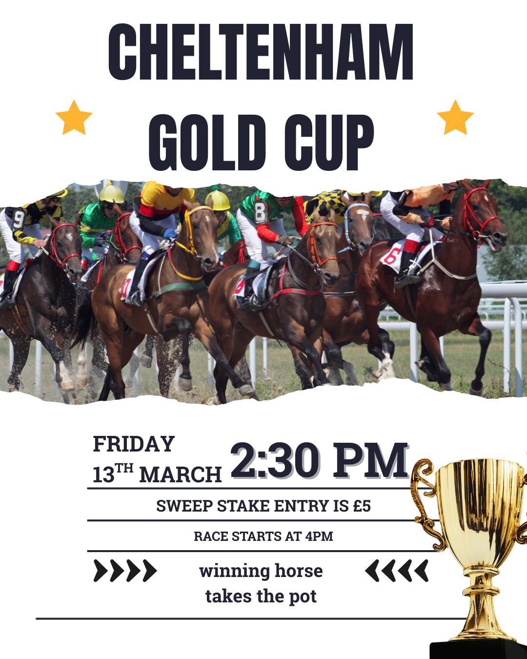 cheltenham gold cup (3).png