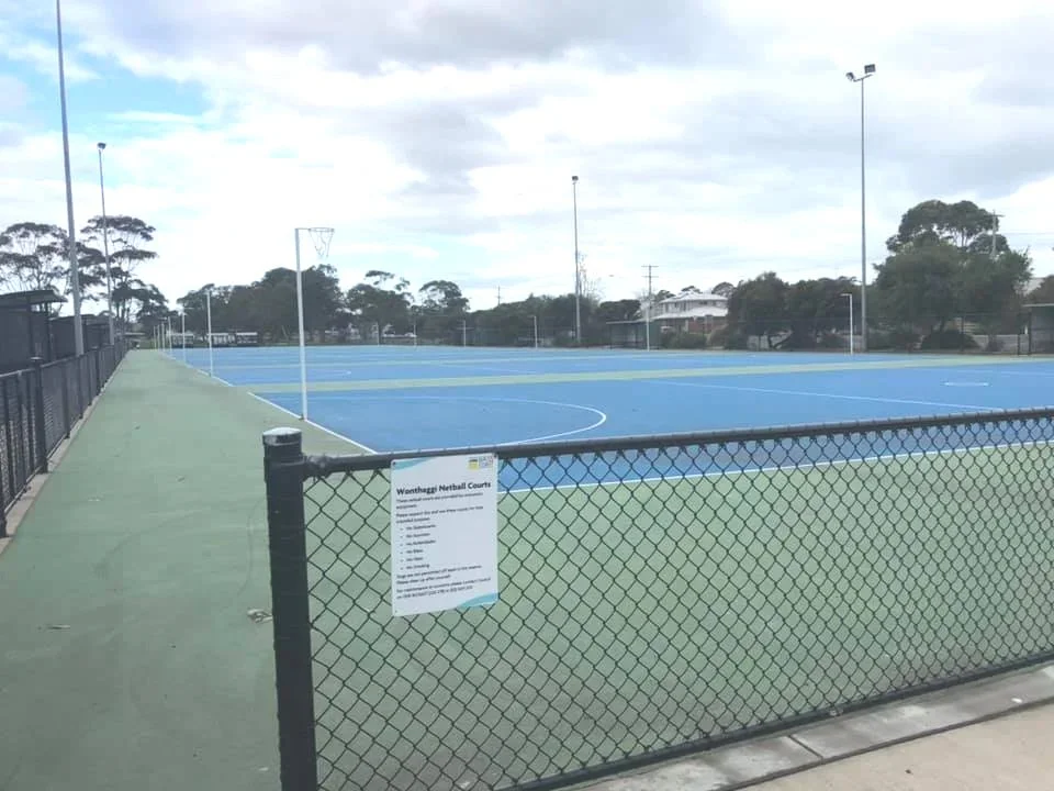 An outdoor netball court with blue playing surface surrounded by a black chain-link fence, with a sign on the fence and a pathway beside the court, under a cloudy sky.