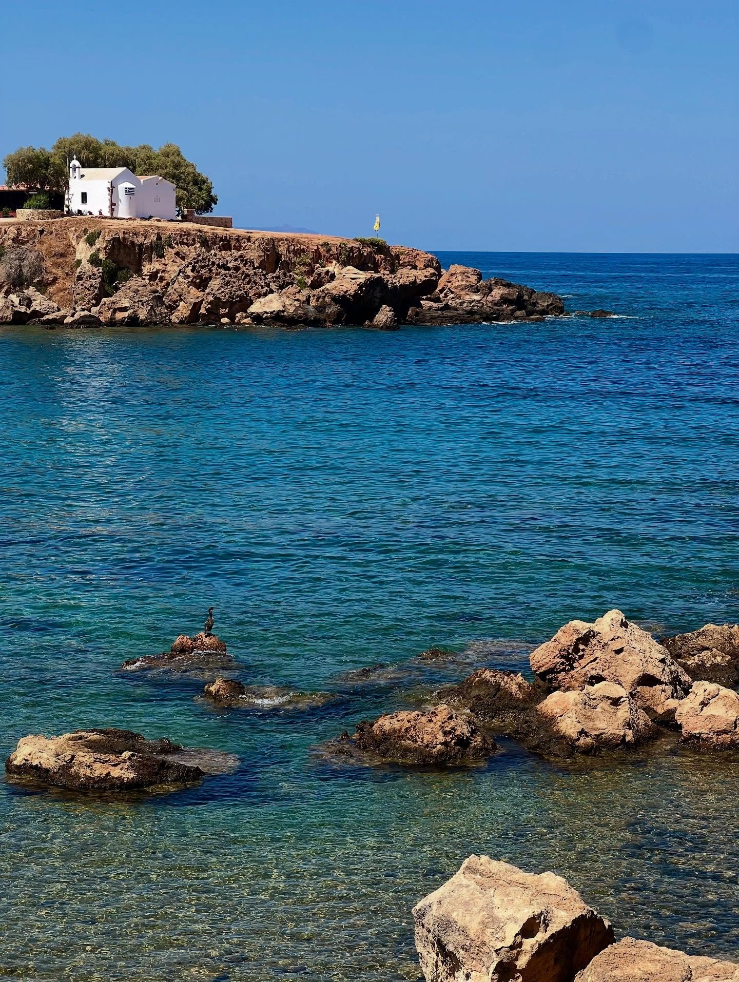 Here with my son, who&rsquo;s been away traveling since the beginning of the year, for some eagerly awaited catch up time @joe.lees