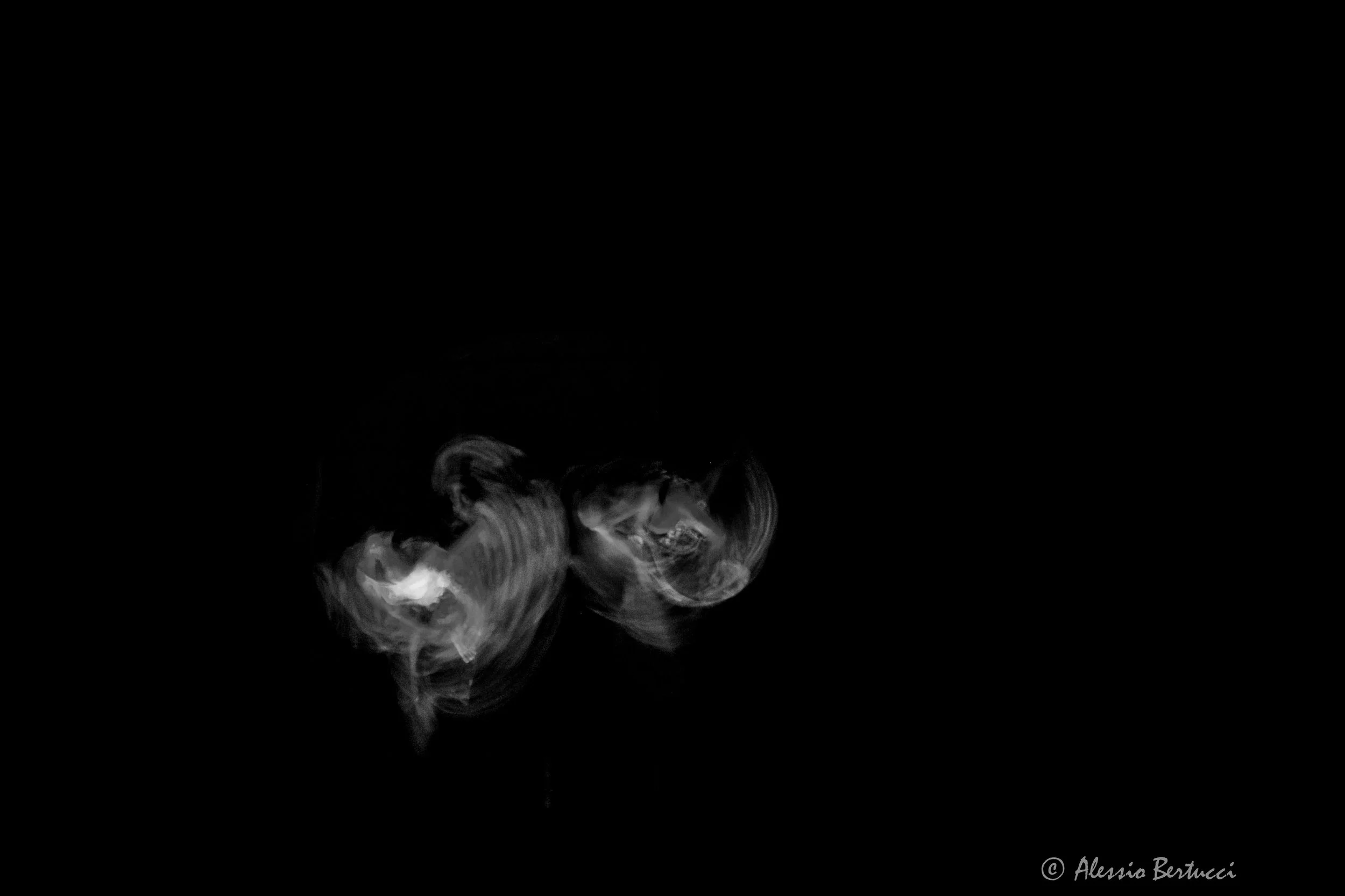 E il Mare non si riempie?