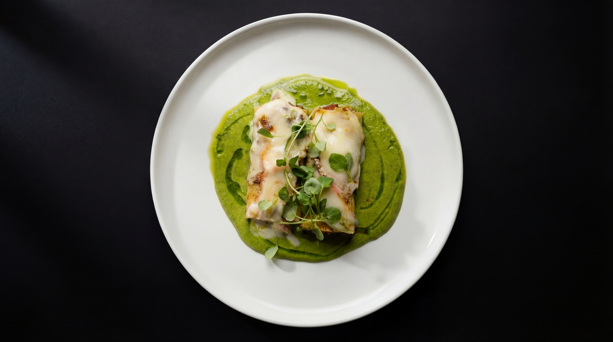 Gemini 3 (Nano Banana Pro)_batch_6_0001.png