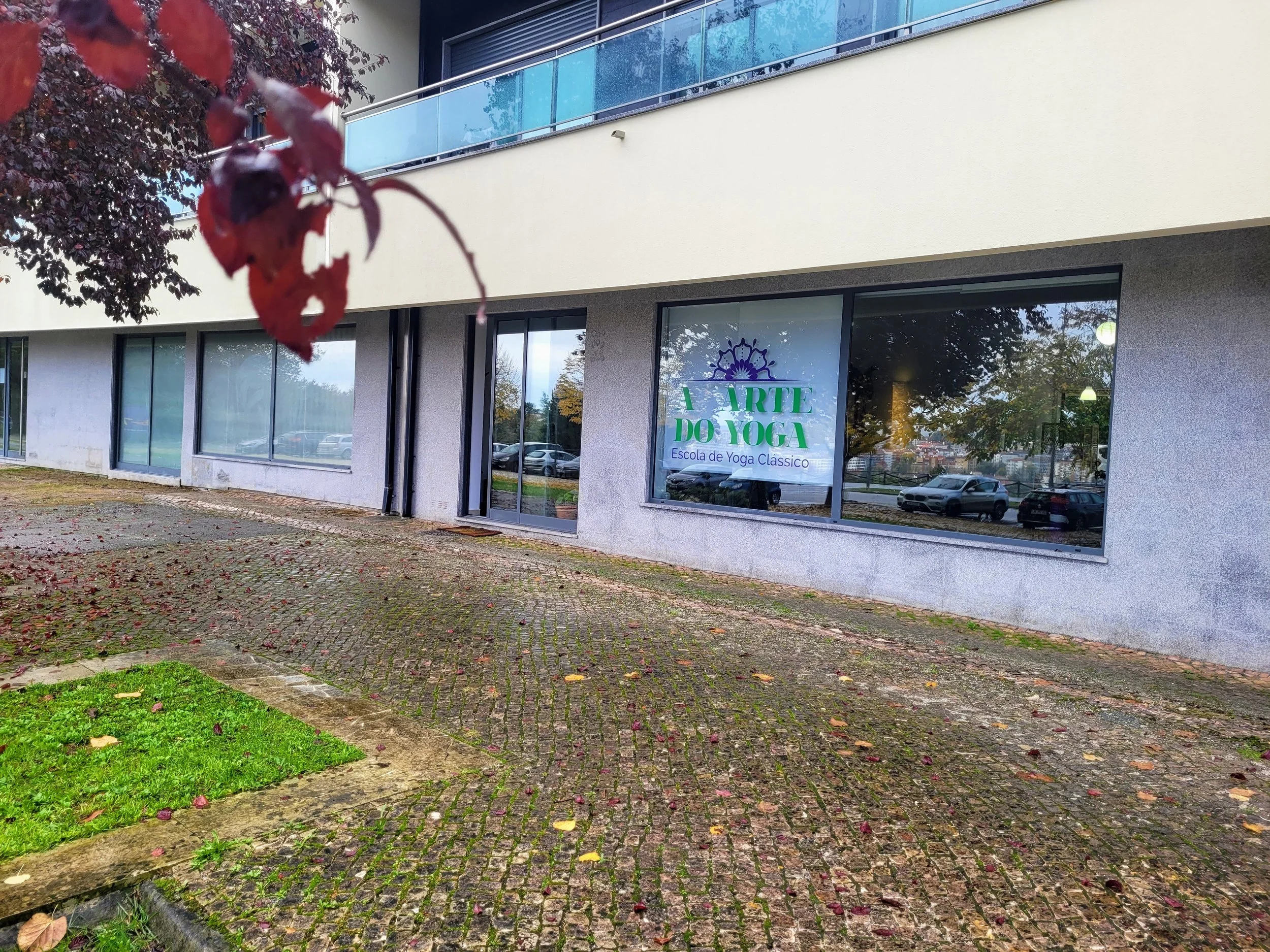Exterior de um edifício com grandes janelas, refletindo carros estacionados, e uma placa com os dizeres 'A Arte Do Yoga - Escola de Yoga Clássico', com folhas de outono no chão e um ramo de árvore com folhas vermelhas em primeiro plano.