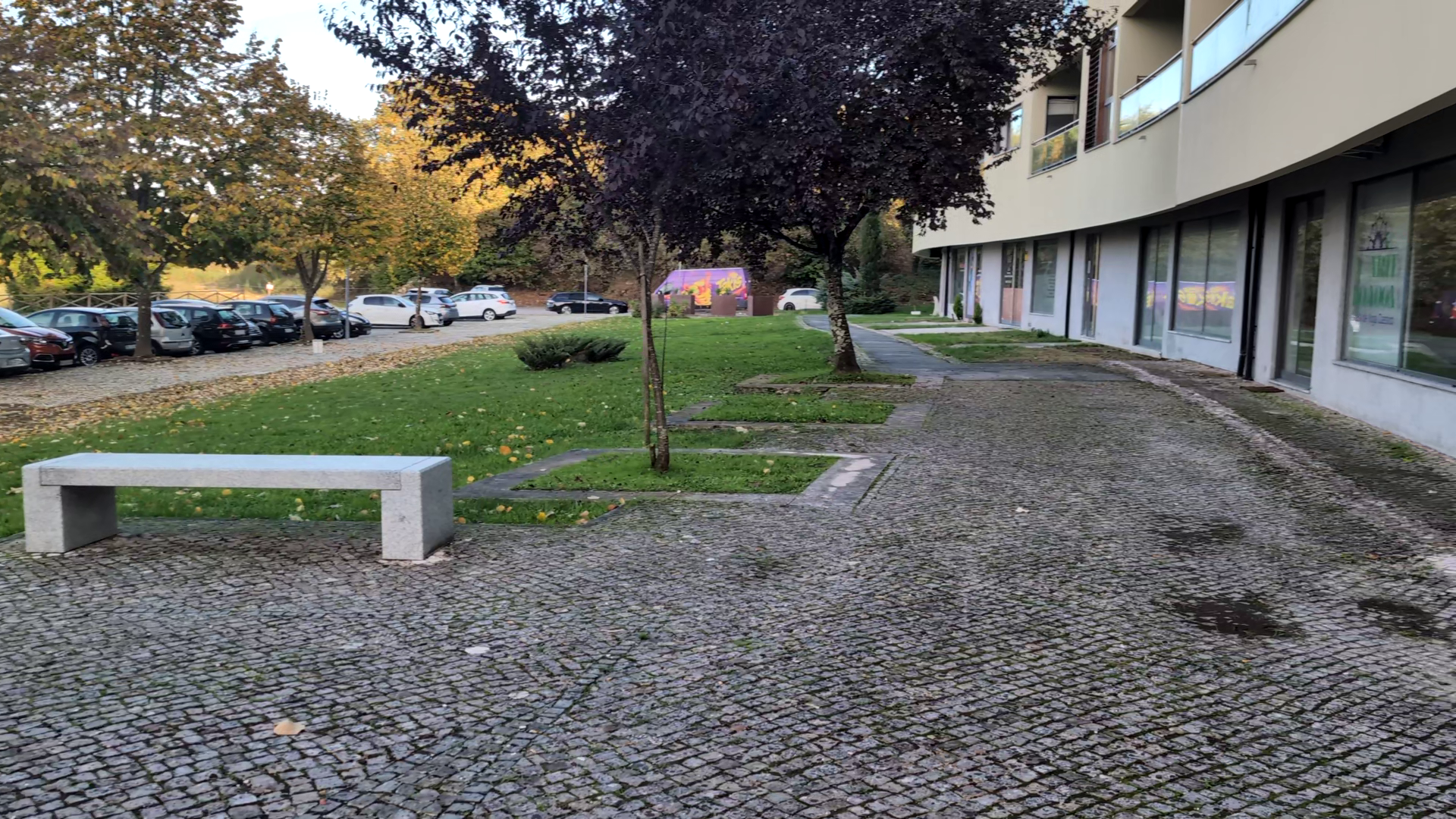 Passeio com pavimento em calçada, um banco de betão, árvores com folhagem de outono, uma zona relvada e um edifício moderno com grandes janelas.