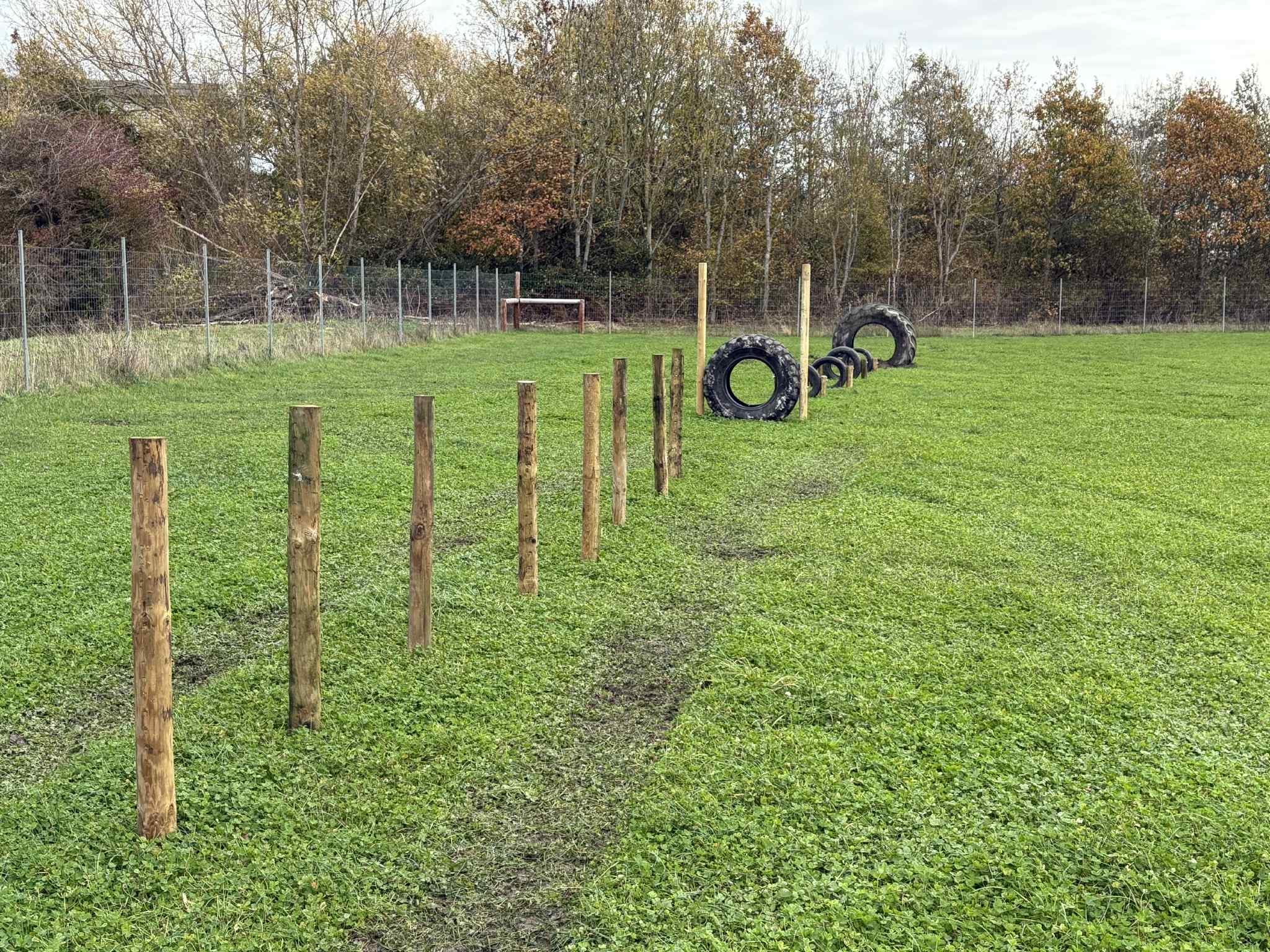 Outdoor dog agility training course with wooden posts, tires, and traffic cones on a grassy field, bordered by a chain-link fence with trees in the background.