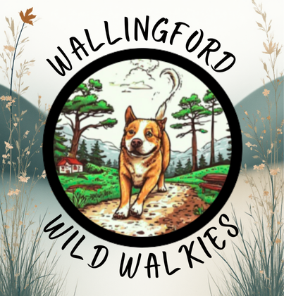 Logo for Wallingford Wild Walkies featuring a happy dog walking on a dirt path in a green park with trees and mountains in the background.