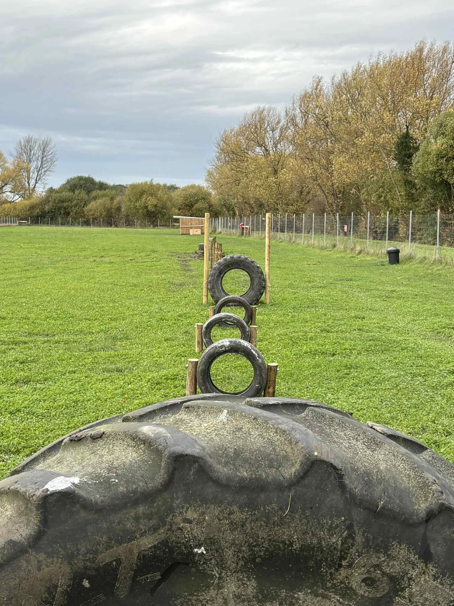View from a tire step on an obstacle course with tires and wooden stakes on a grassy field, trees in the background, and overcast sky.