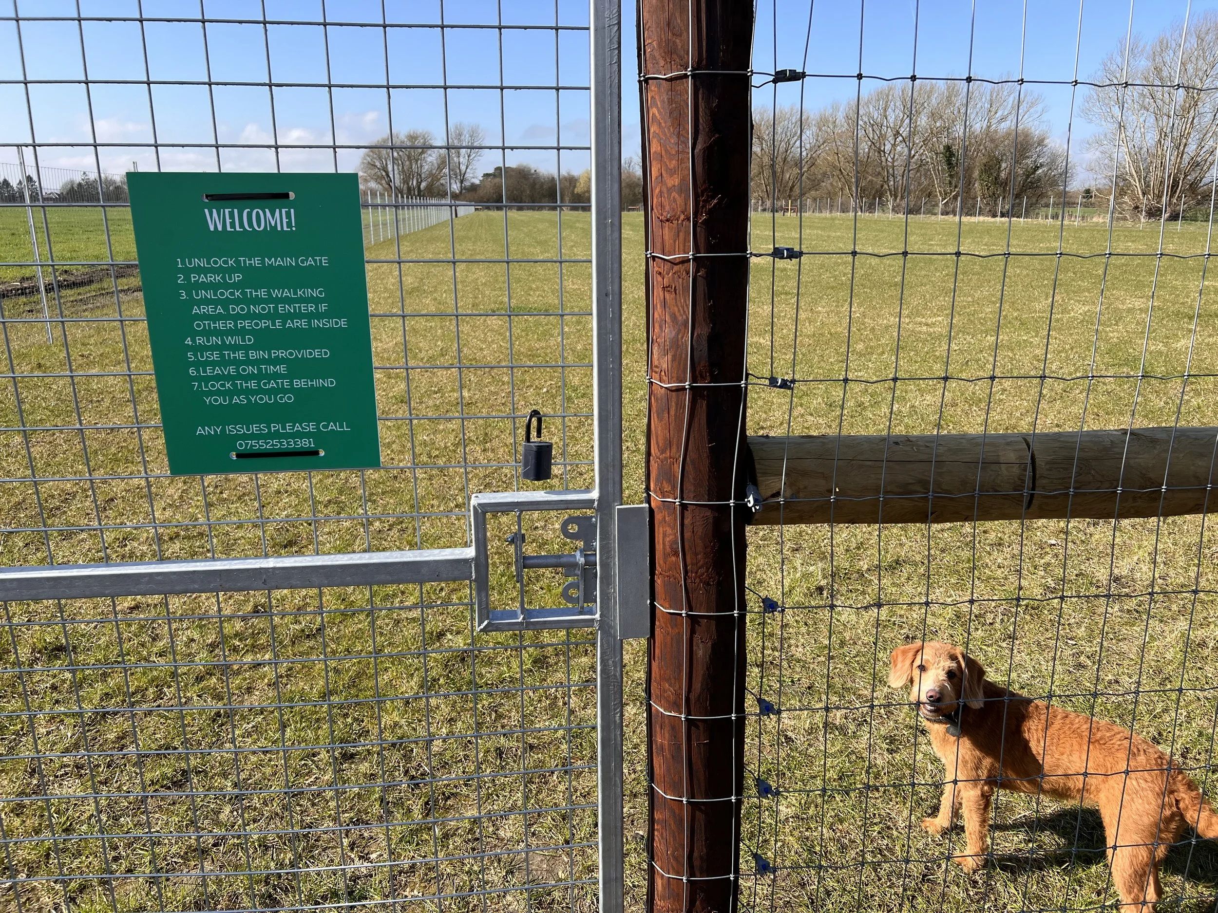A fenced enclosure with a brown dog standing inside on grass, and a green sign with rules for the area attached to the gate.