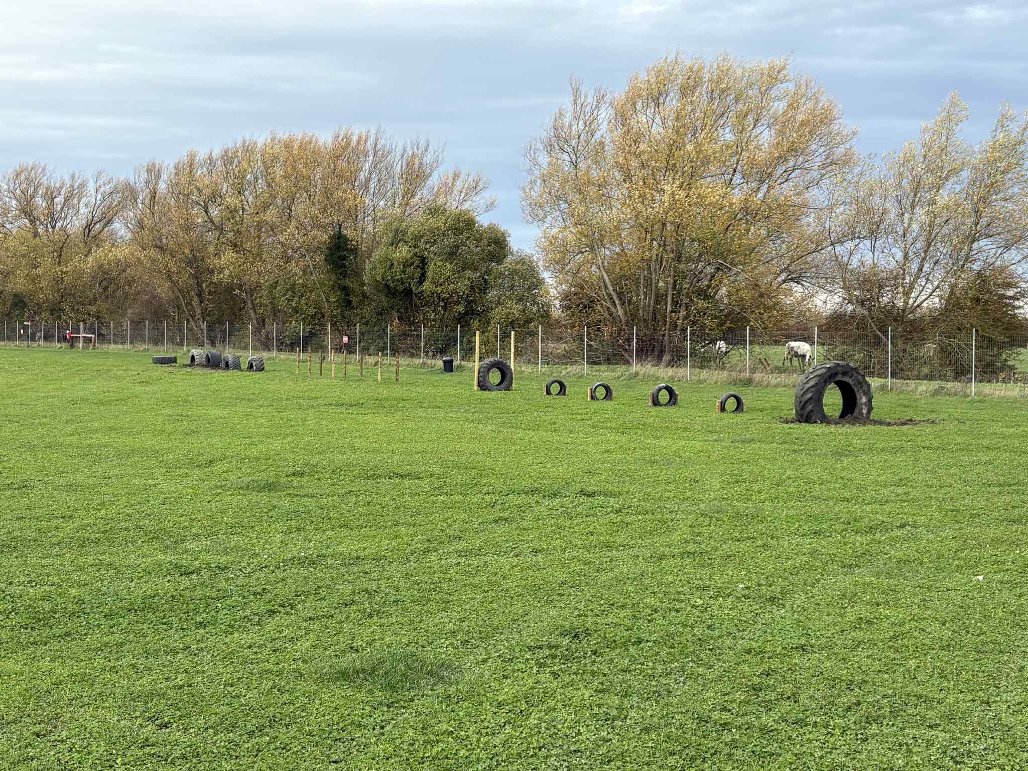Outdoor grassy field with tires arranged in a line, some standing upright and others lying down, surrounded by trees with autumn leaves.