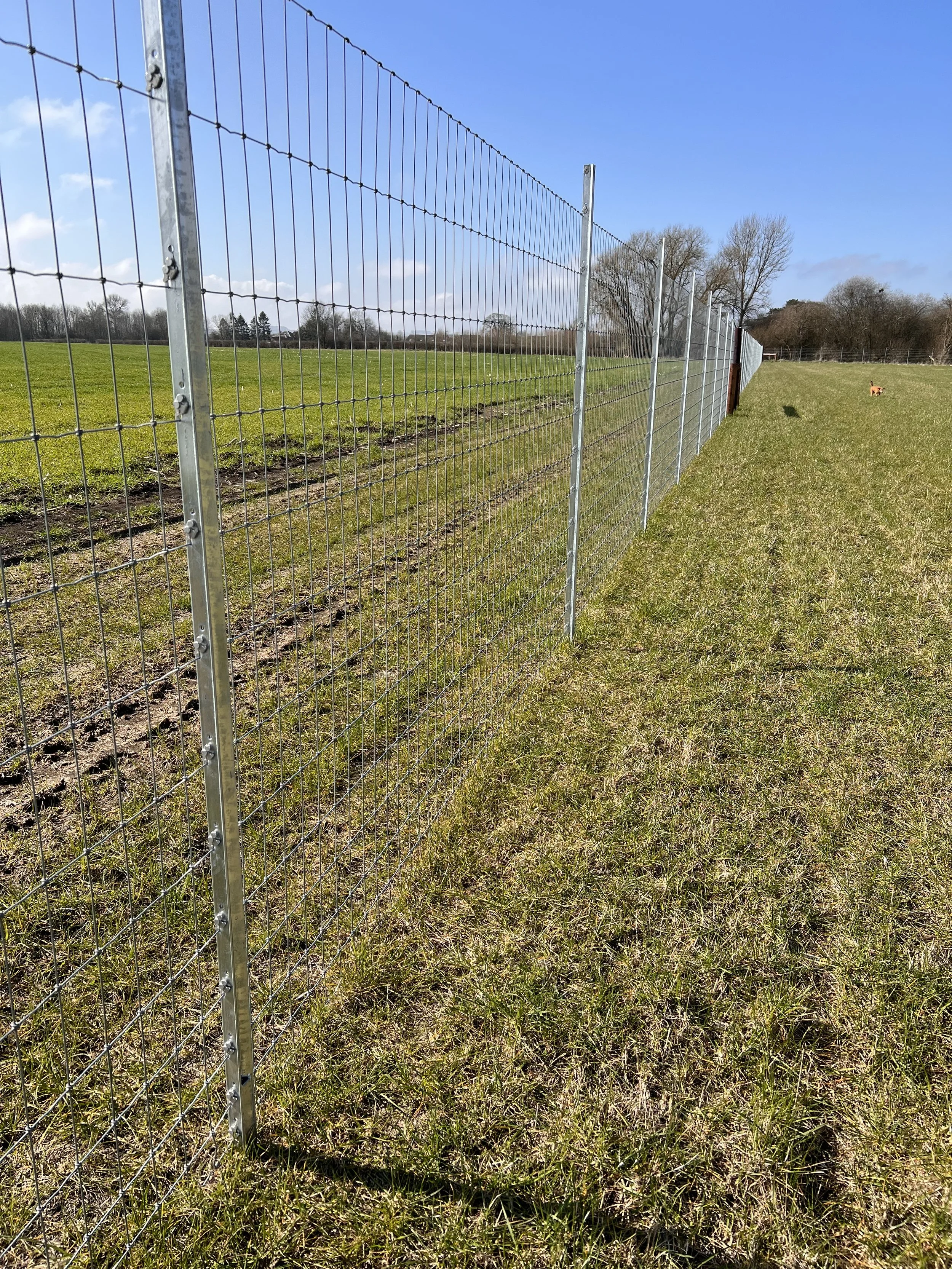 A long metal wire fence runs through a grassy field on a sunny day with a clear blue sky. There are some trees in the background and a small dog on the right side of the field.