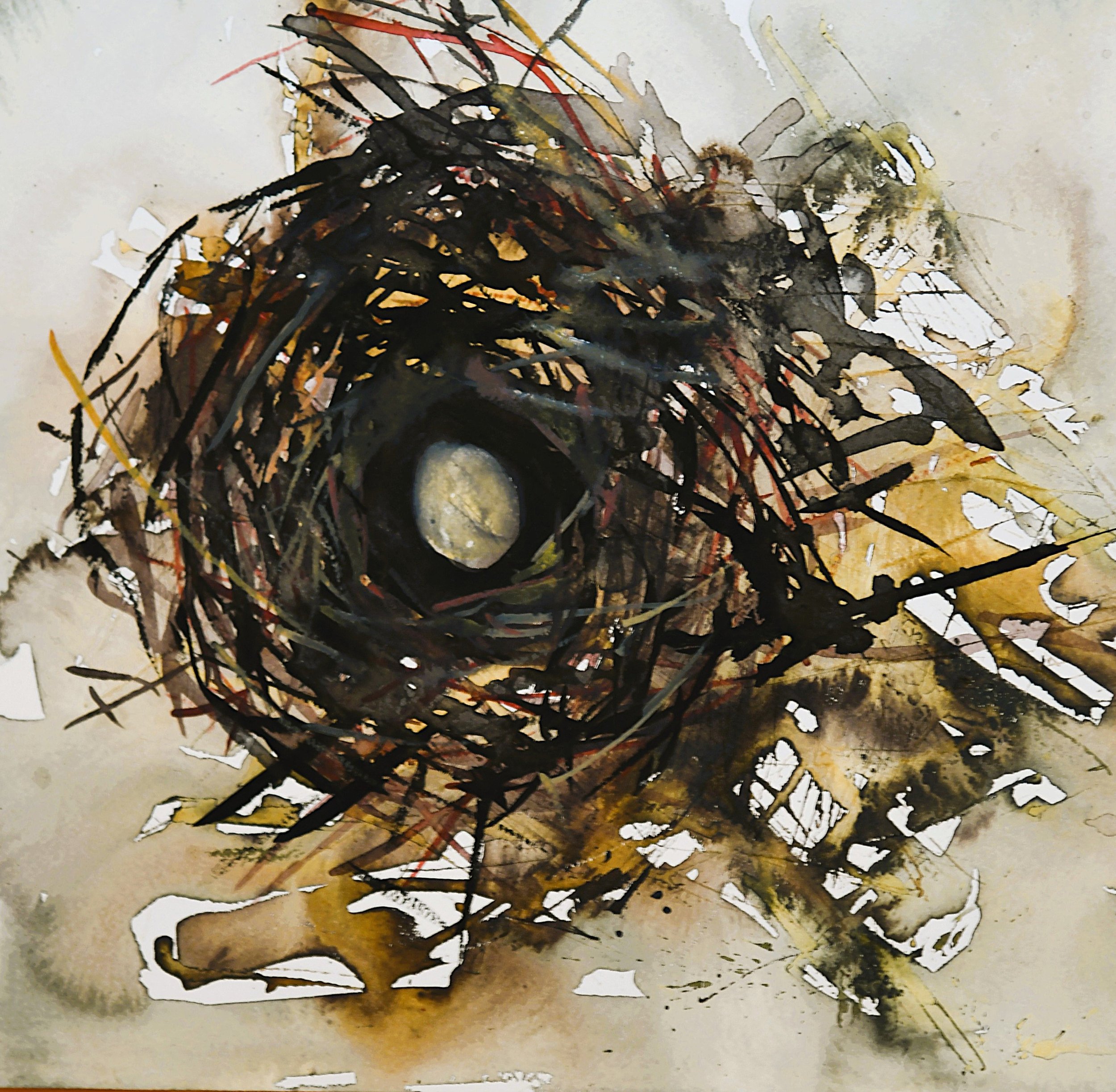 Nests, Making, and the Quiet Intelligence of Creativity