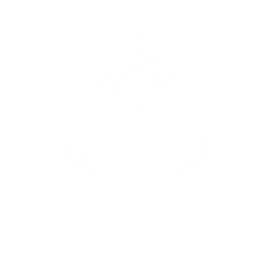 Two hands holding a tree planted in a stump, surrounded by a circle.