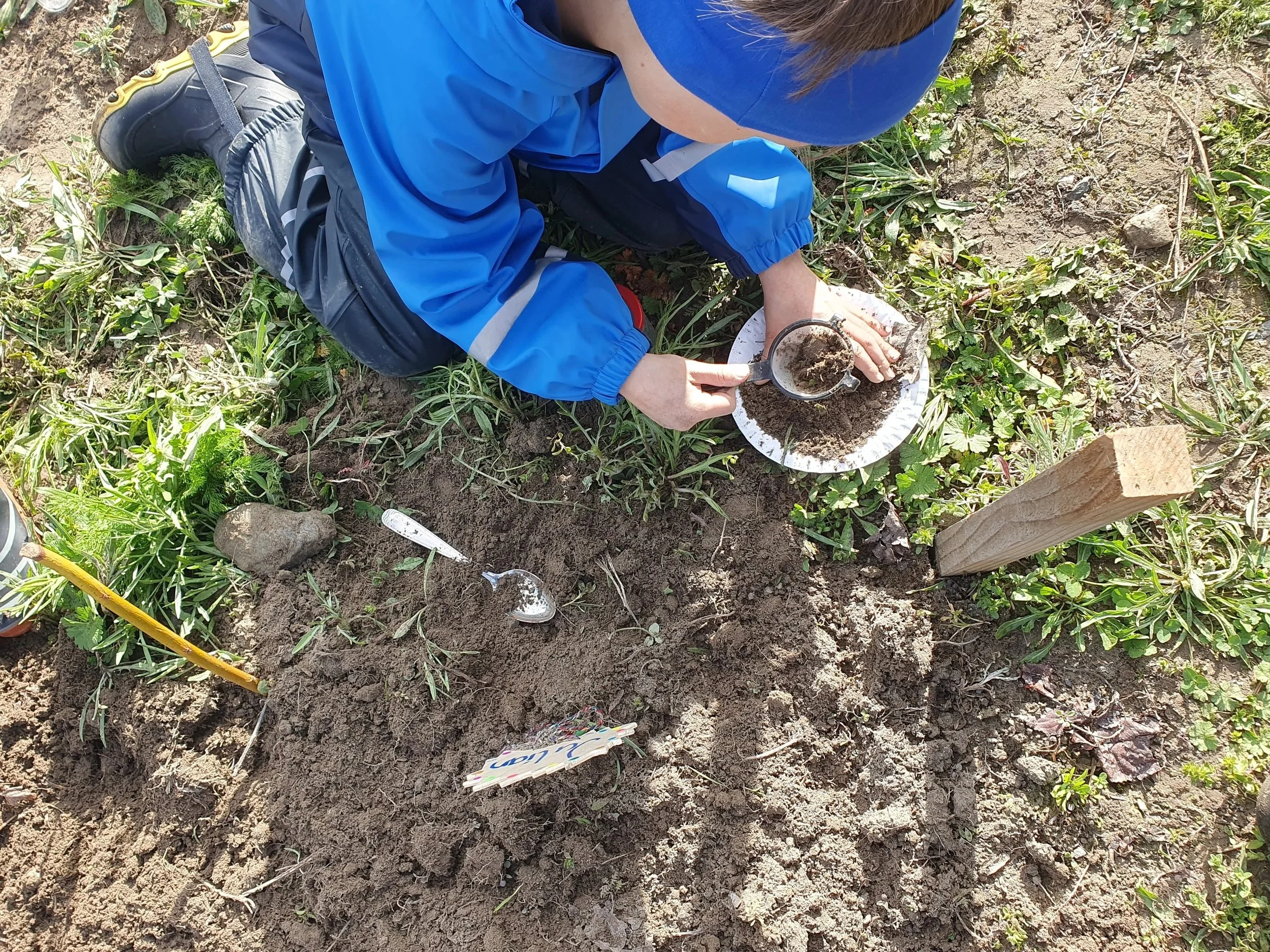 Schulgarten Baltschieder