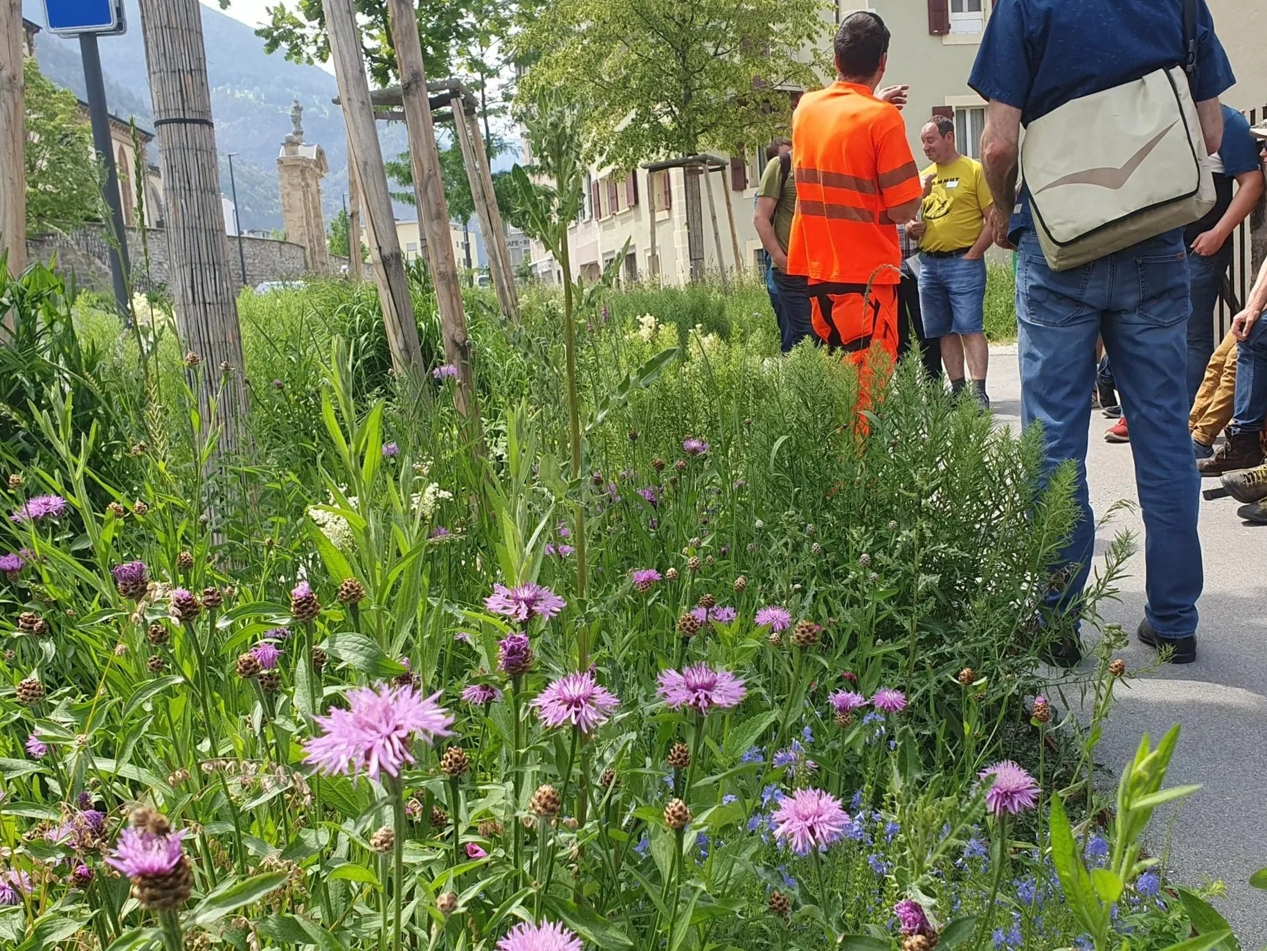 Best-Practice Biodiversitätsförderung in Gemeinden, Salgesch