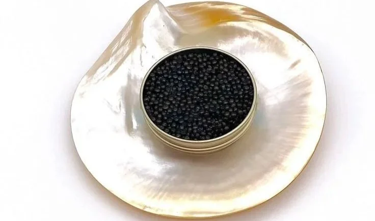 A round tin of black caviar placed on a large iridescent seashell.