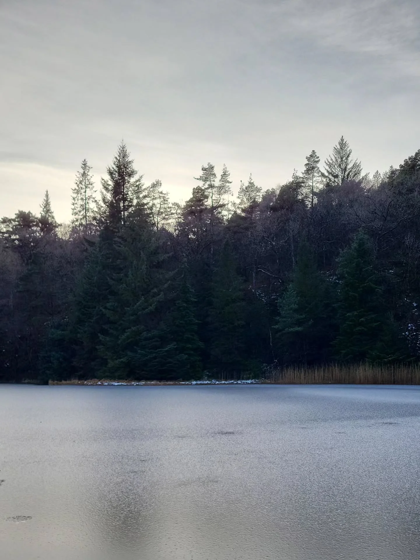 Anyone who knows me well will know why I took this shot of, seemingly, not very much!

It's the blurred reflections of the forest on the frozen lake. It's easy to not even see them, to not focus on anything but the trees, sky and lake. It's a nice fe