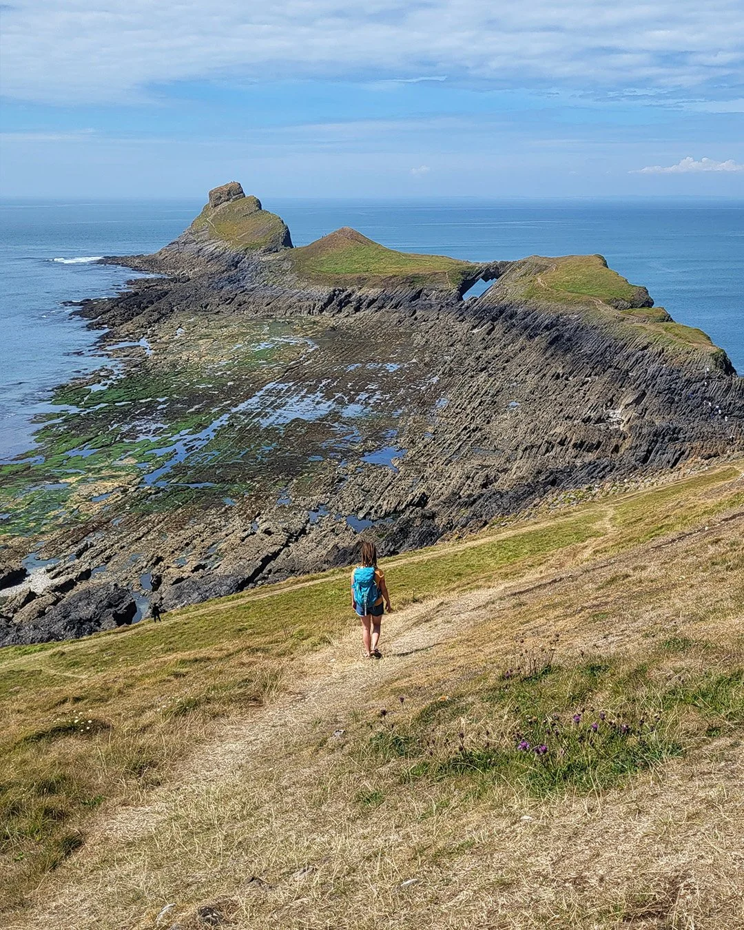 worms head gower 1.jpg