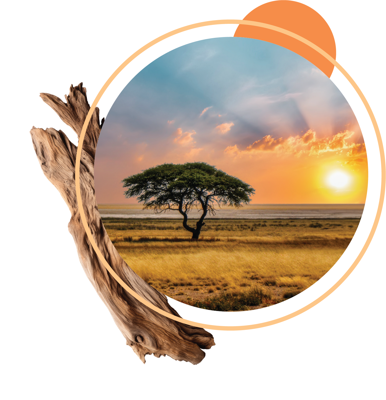 Bordered-circle-image-savanna.png