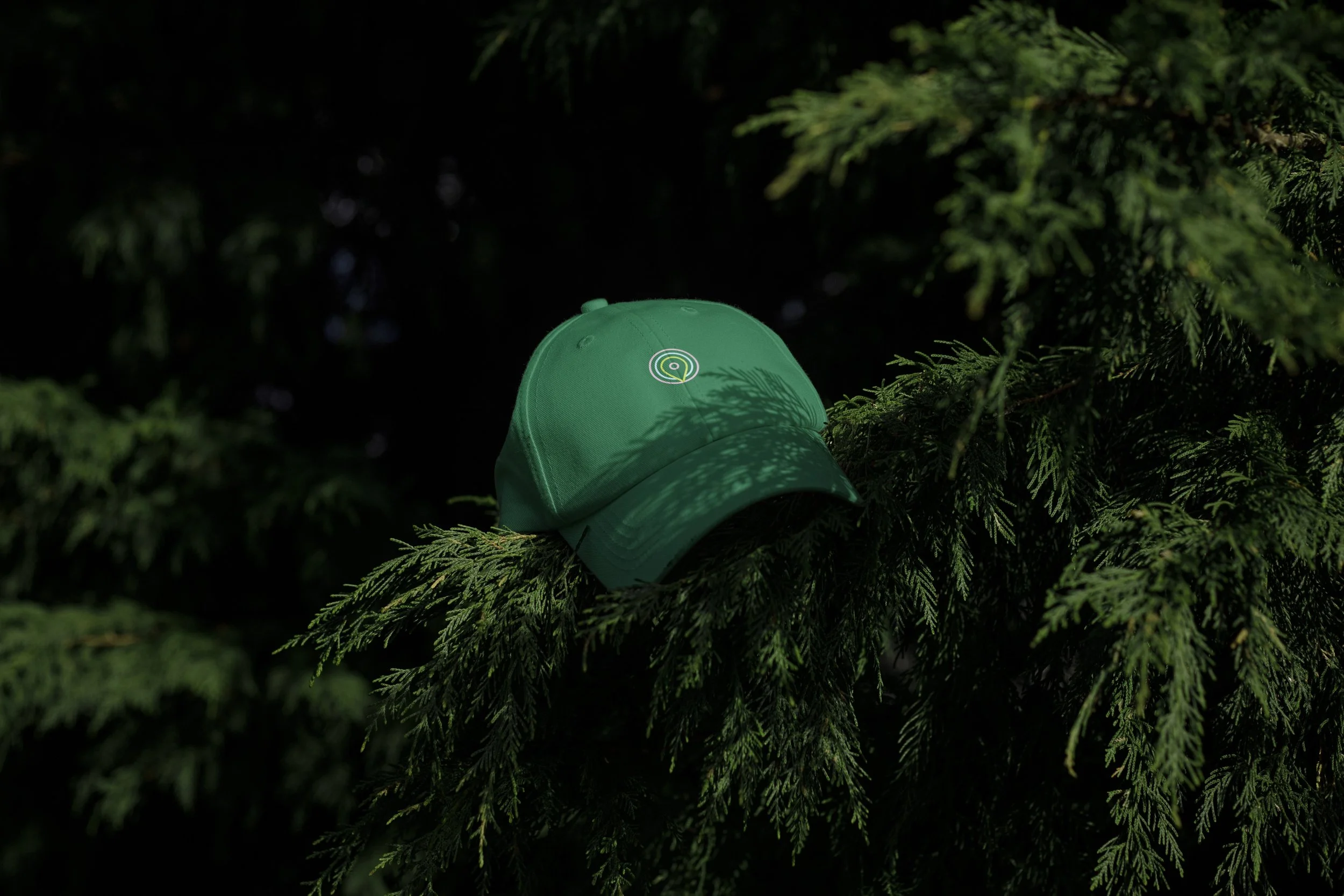 10orLess-cap.jpg